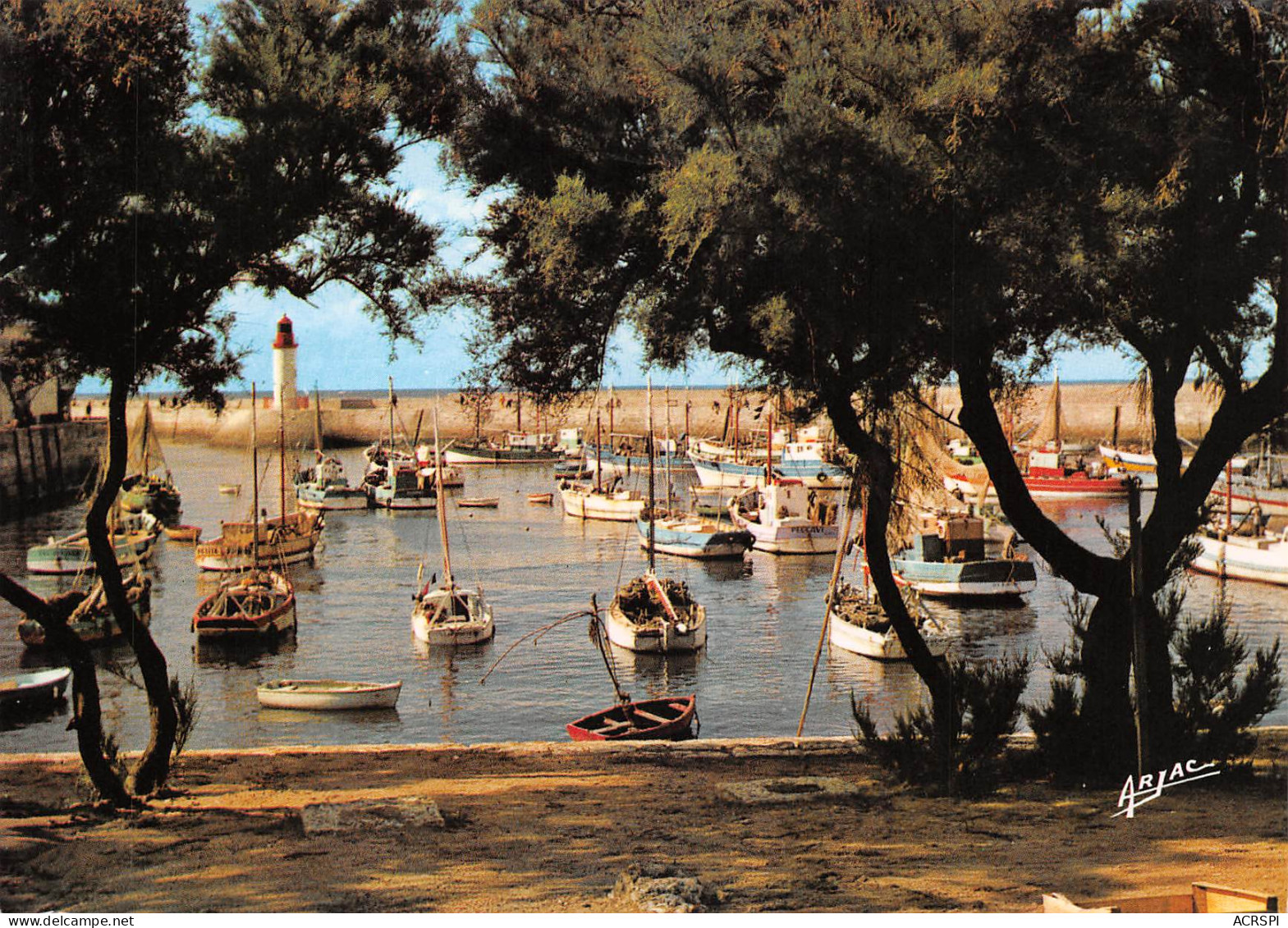 17 île D'OLERON Saint-Pierre-d'Oléron LA COTINIERE  Le Port De Pêche  (Scan R/V) N° 23 \MP7146 - Saint-Pierre-d'Oleron