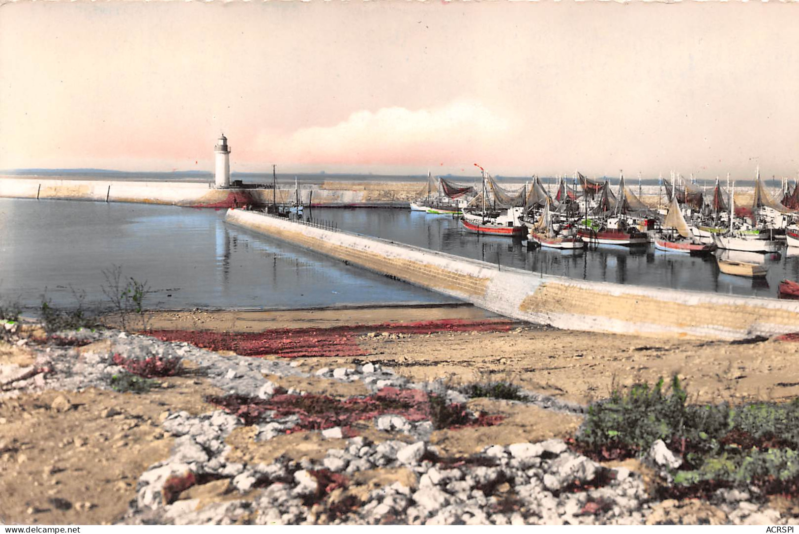 17 Saint-Pierre-d'Oléron LA COTINIERE  L'avant Port (Scan R/V) N° 43 \MP7146 - Saint-Pierre-d'Oleron