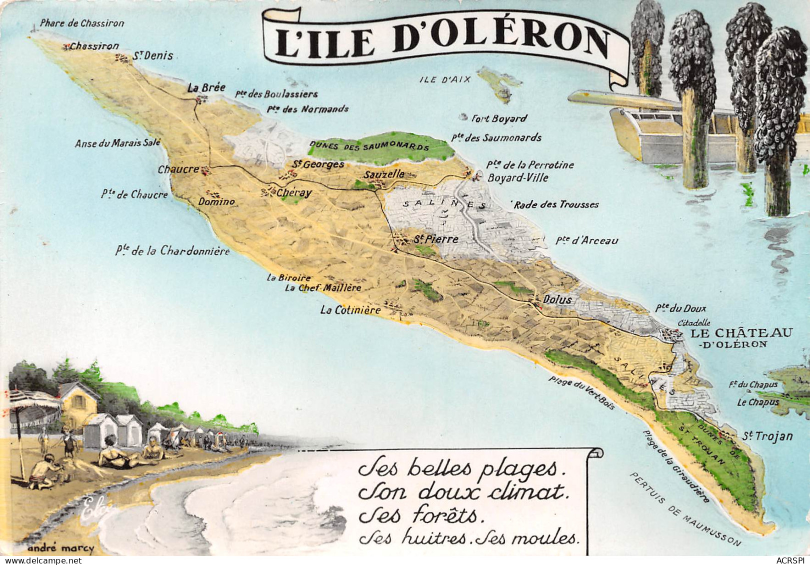 17 île D'Oléron Carte Map Plan  (Scan R/V) N° 5 \MP7147 - Ile D'Oléron