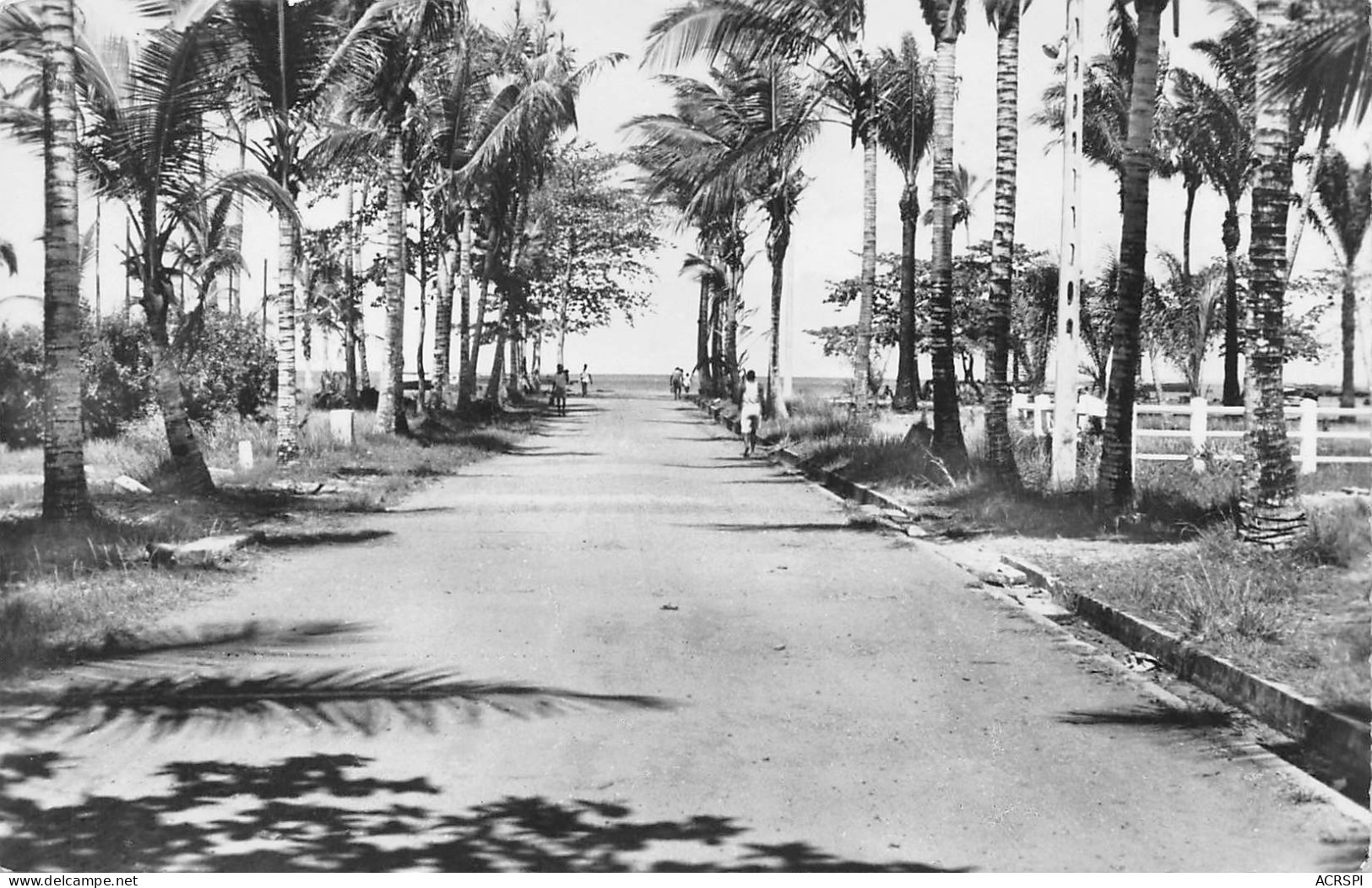 GABON PORT-GENTIL L'allée Des Cocotiers Carte Vierge Non Circulé édition RENAULT (Scan R/V) N° 16 \MP7163 - Gabon