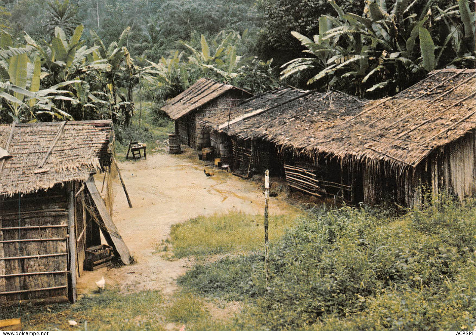 GABON  Le Campement En Forêt éd Trolez Libreville Tropic Foto Carte Vierge Non Circulé  (Scan R/V) N° 31 \MP7165 - Gabon