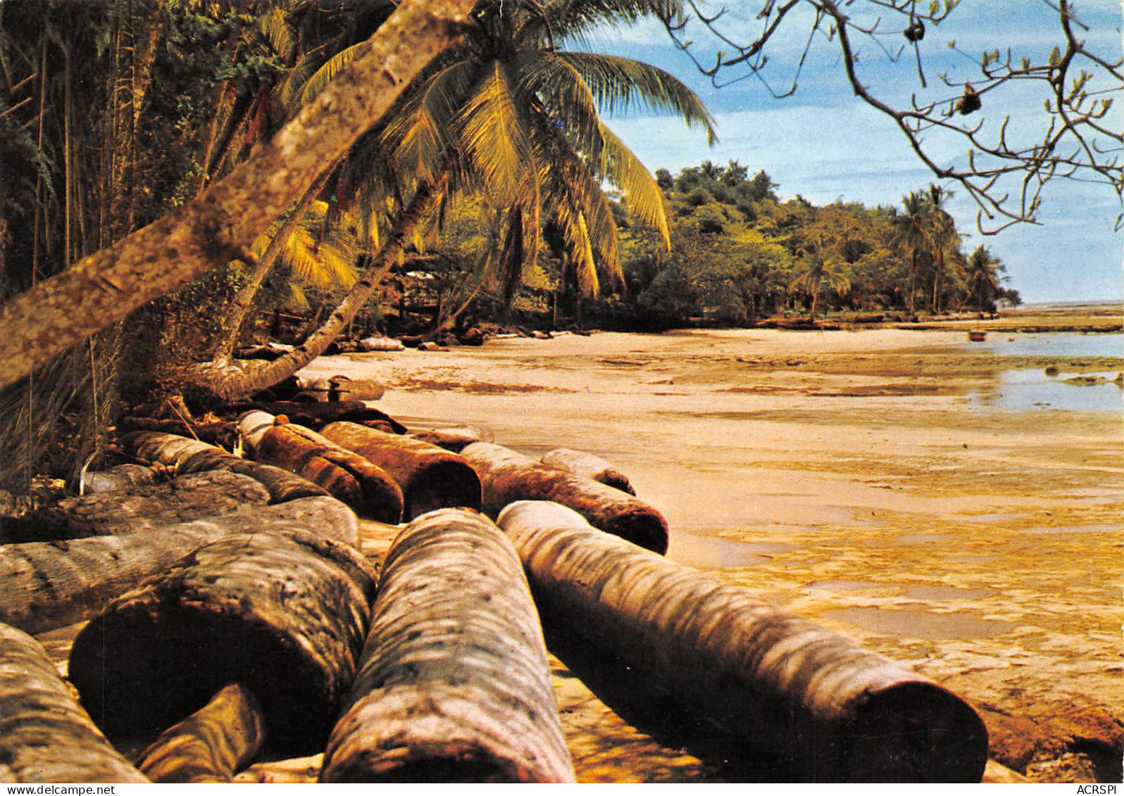 GABON Plage De CAP ESTERIAS Billes Grumes D'acajou édition Tropic LIBREVILLE Trolez  (Scan R/V) N° 50 \MP7166 - Gabon