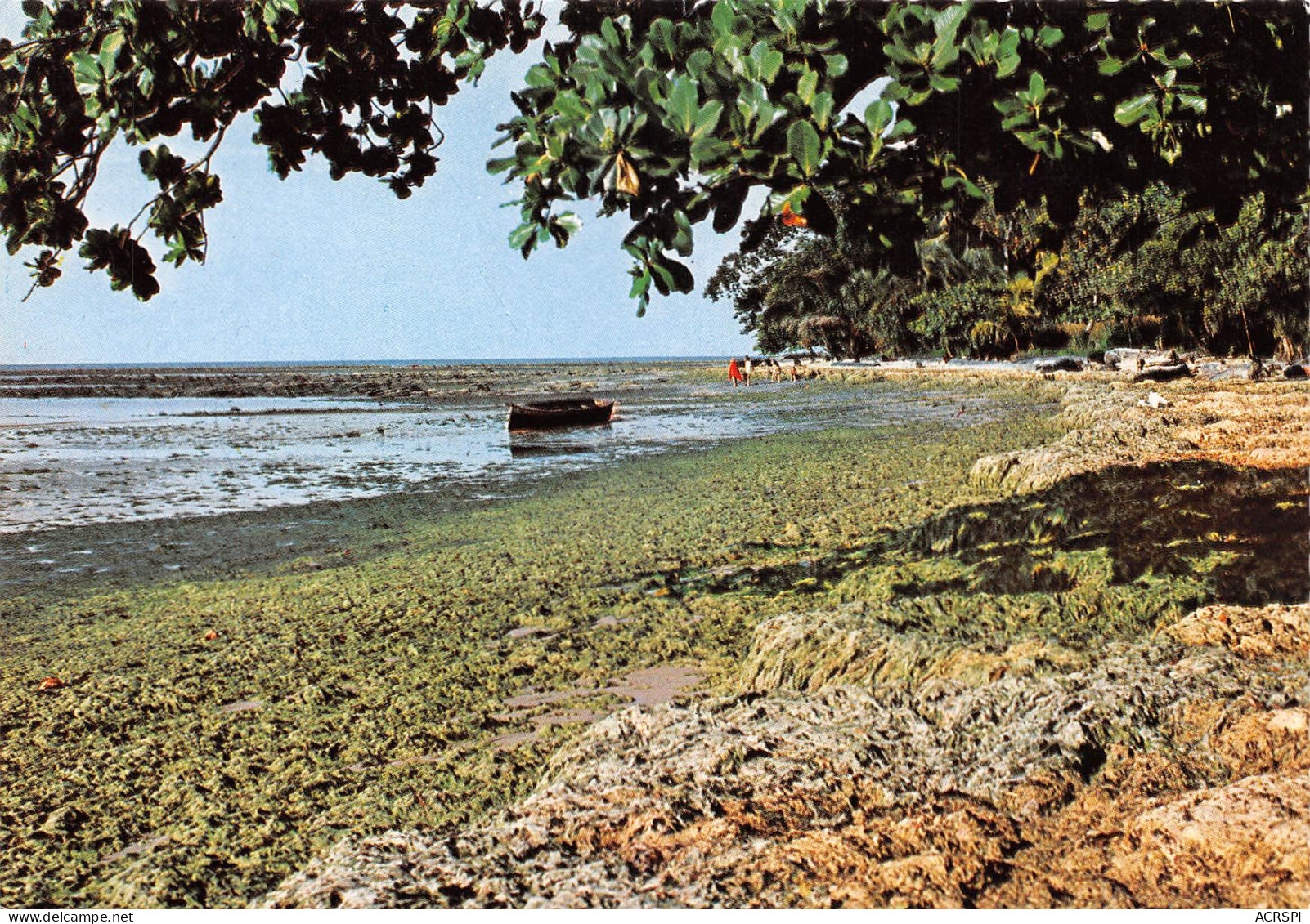 GABON  Pointe SAOUE Au Cap Esterias édition TROLEZ  LIBREVILLE    (Scan R/V) N° 54 \MP7166 - Gabon