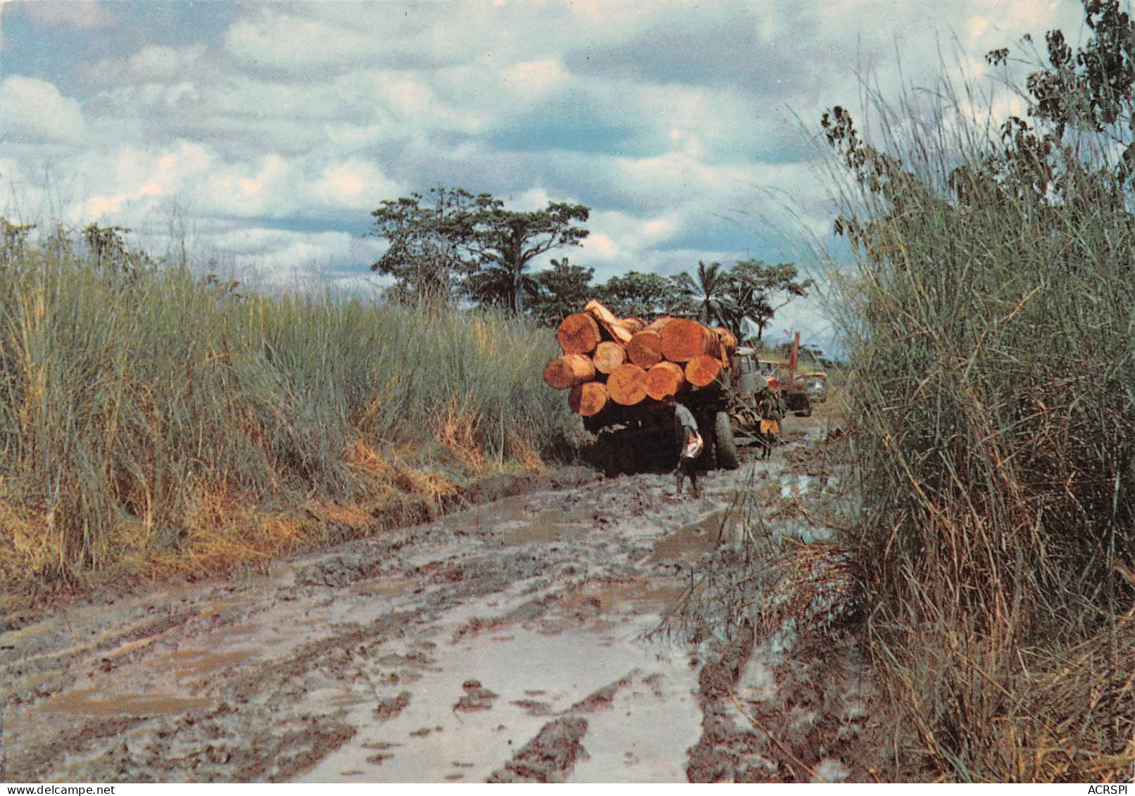 GABON Piste Brousse Transport De Grumes D'Acajou édition Tropic LIBREVILLE  (Scan R/V) N° 47 \MP7166 - Gabon