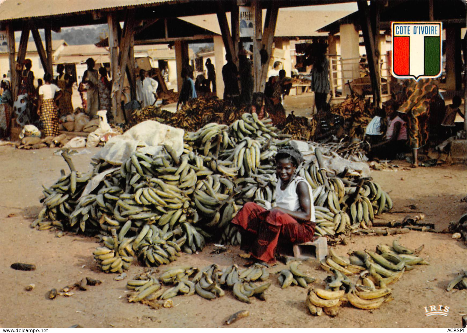 COTE D'IVOIRE Bananes Plantains Au Marché Abidjan Carte Vierge  éditions  (Scan R/V) N° 1 \MP7167 - Ivory Coast