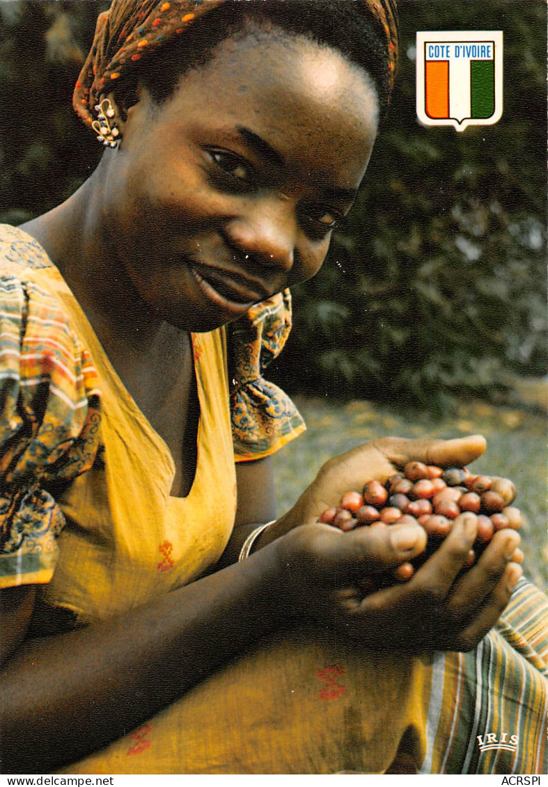 COTE D'IVOIRE   Jeune Fille Et Grains De Café  Abidjan  édition Hachette  (Scan R/V) N° 10 \MP7167 - Ivory Coast