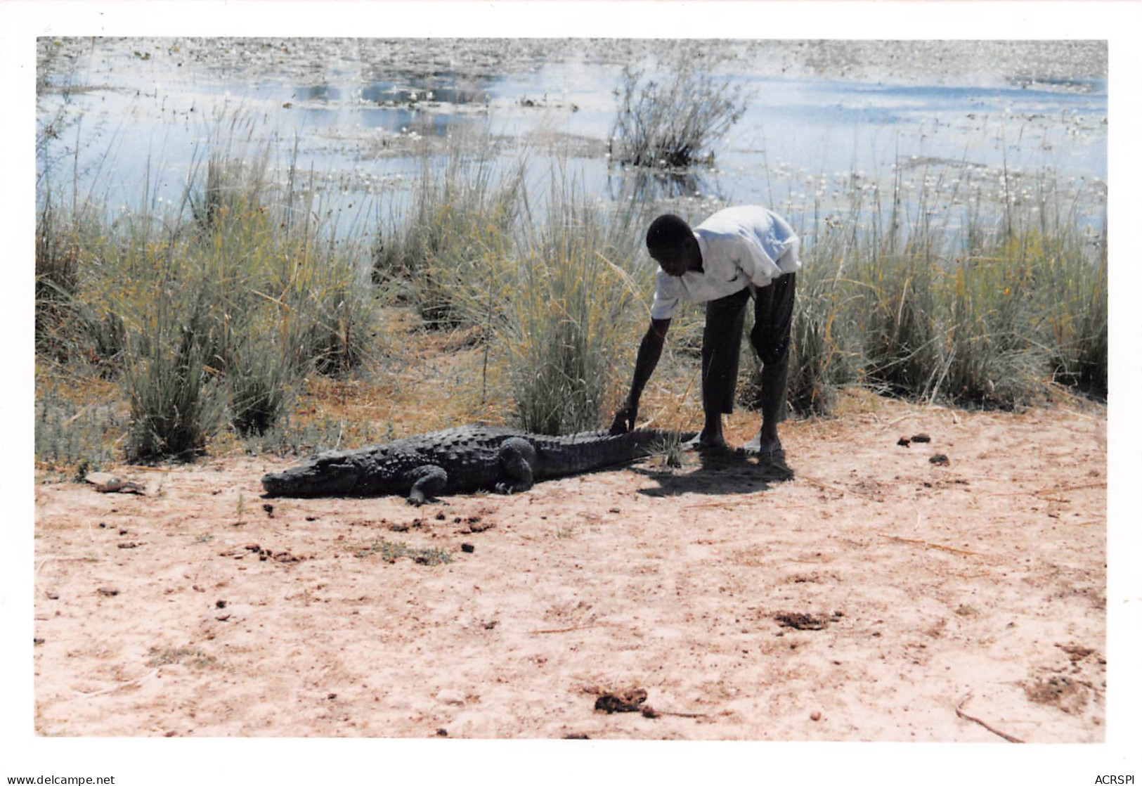 BURKINA-FASO SABOU Crocodiles Sacrés De Sabou édition Phot Agfa   (Scan R/V) N° 36 \MP7167 - Burkina Faso