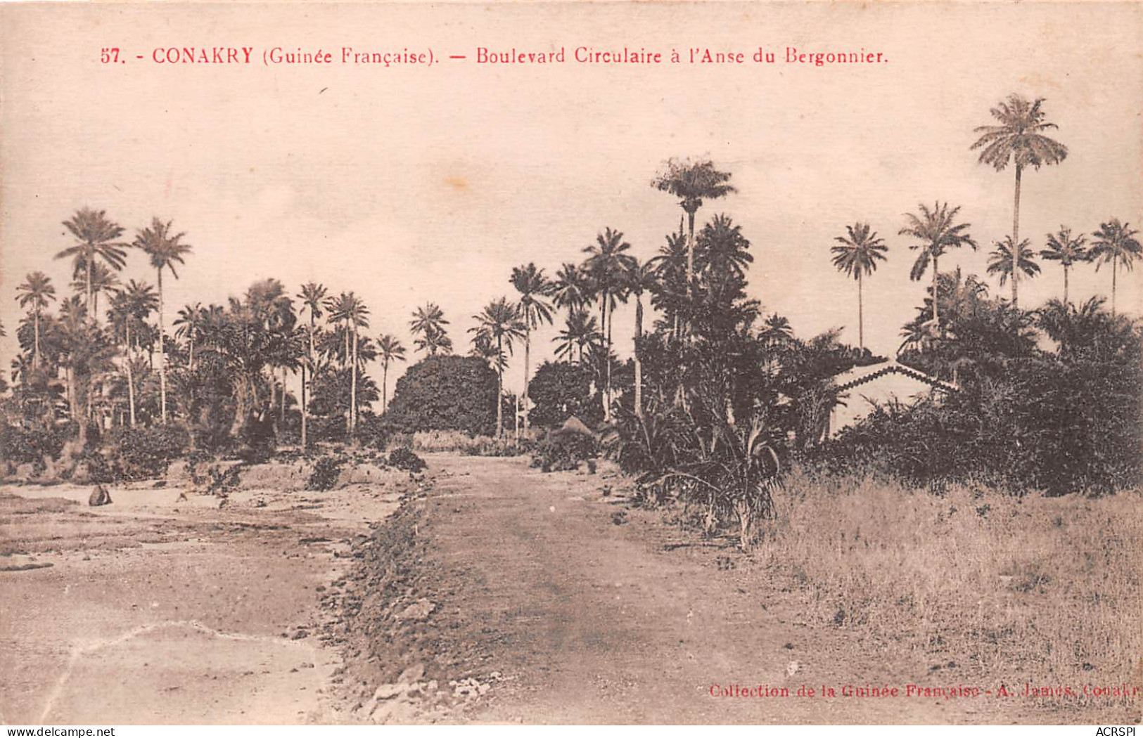 GUINEE CONAKRY  Boulevard Circulaire à L'anse Du Bergonnier  édition James  (Scan R/V) N° 39 \MP7168 - French Guinea