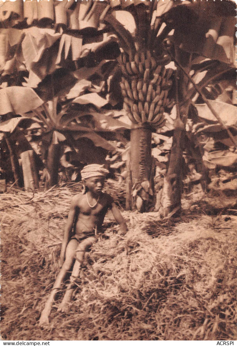 GUINEE CONAKRY Jeune Fille Dans La Plantation De Bananes  éditions Hélio LESCUYER Carte Vierge  (Scan R/V) N° 3 \MP7169 - Guinée Française