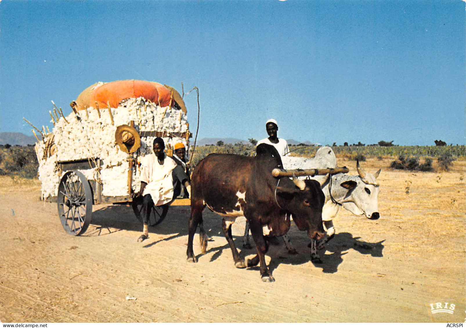 Sénégal   Charette à Boeufs  (Scan R/V) N° 46  \MP7169 - Senegal