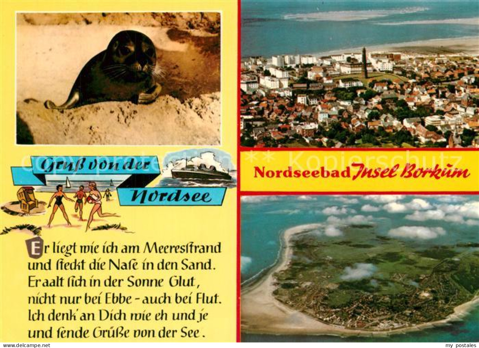 73293527 Borkum Nordseebad Seehund Nordseeinsel Fliegeraufnahme Borkum Nordseeba - Borkum