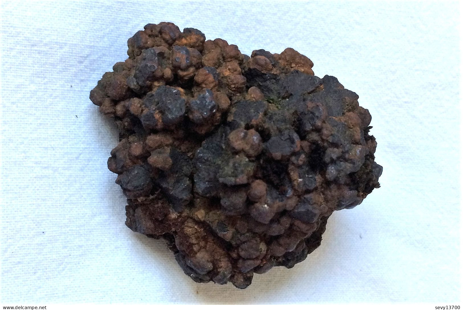 Coprolithe (excréments) 140 Grammes 5.5 Cm X 5 Cm X 3.5 Cm - Fossielen
