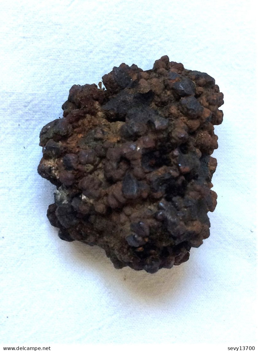Coprolithe (excréments) 140 Grammes 5.5 Cm X 5 Cm X 3.5 Cm - Fossils