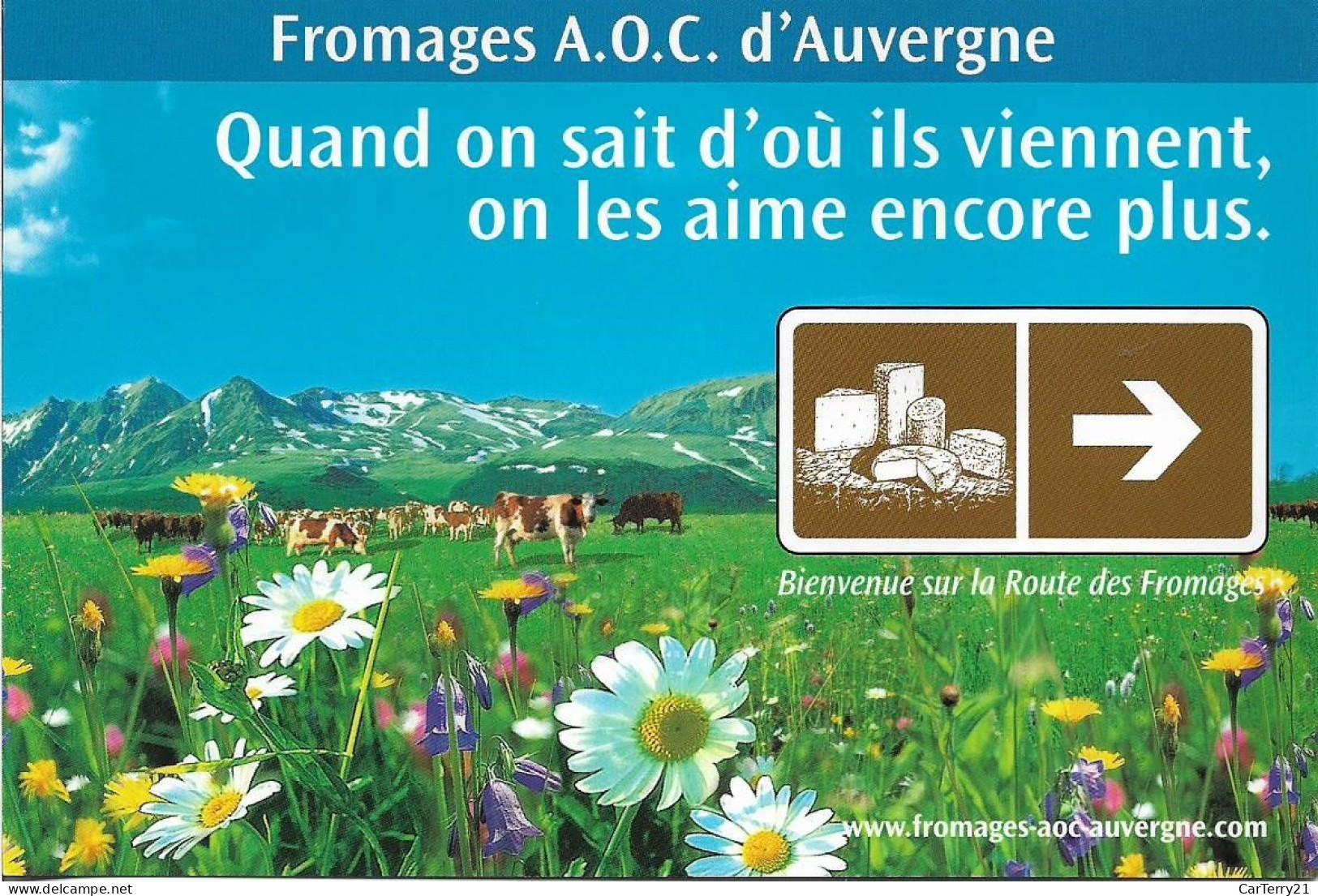 CP PUBLICITAIRE FROMAGES A.O.C D'AUVERGNE. - Auvergne