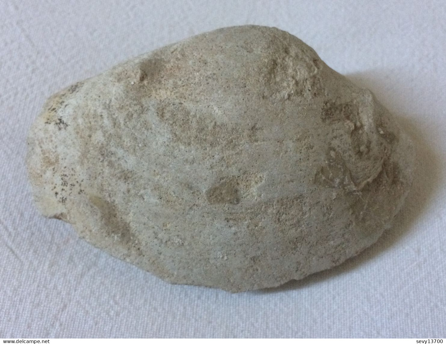 Coquillage Fossile - Clovis 102 Grammes 7,5 Cm X 5 Cm X 2,5 Cm - Fósiles