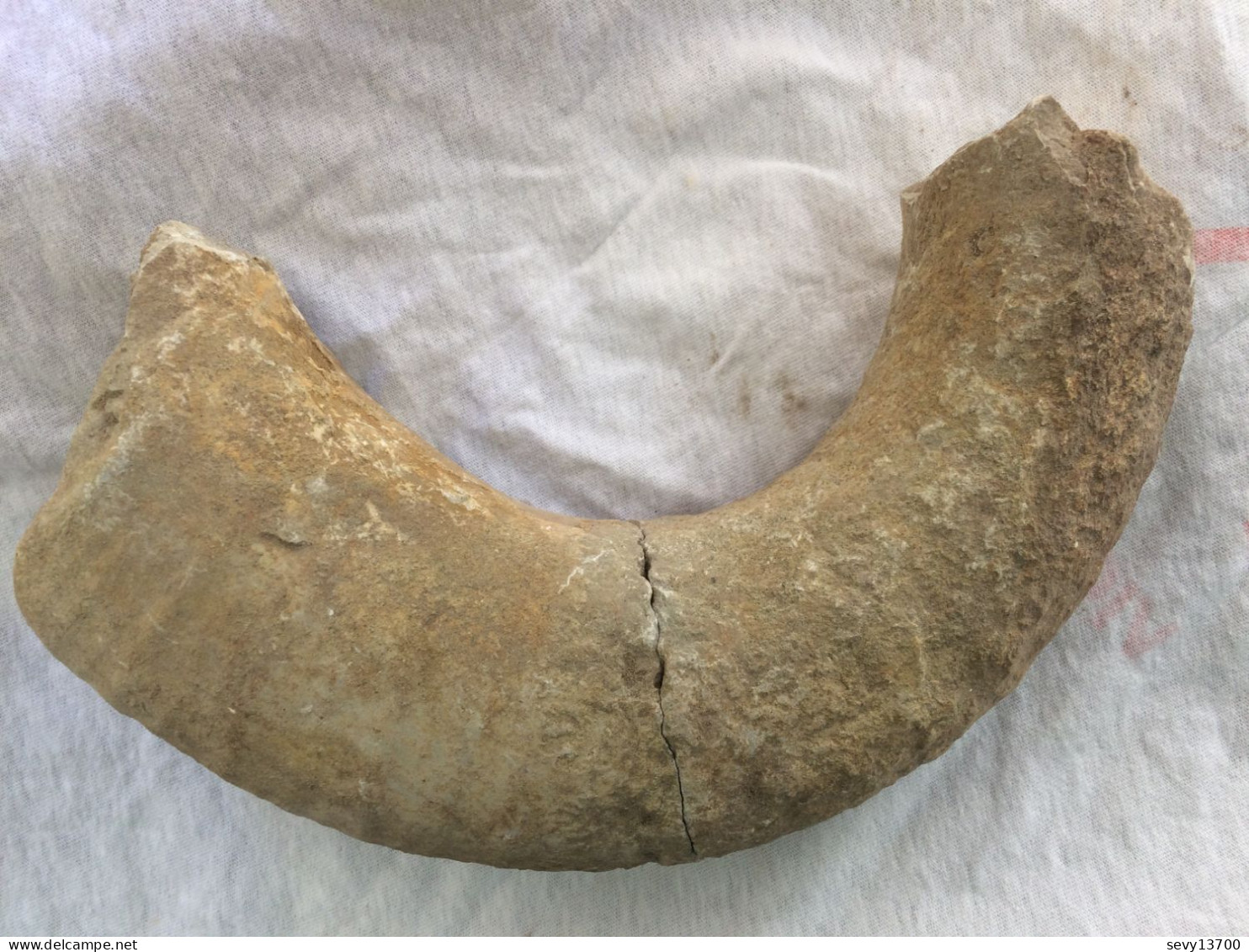 Ammonite 22cm X 12 Cm - 2060 Grammes - Fósiles