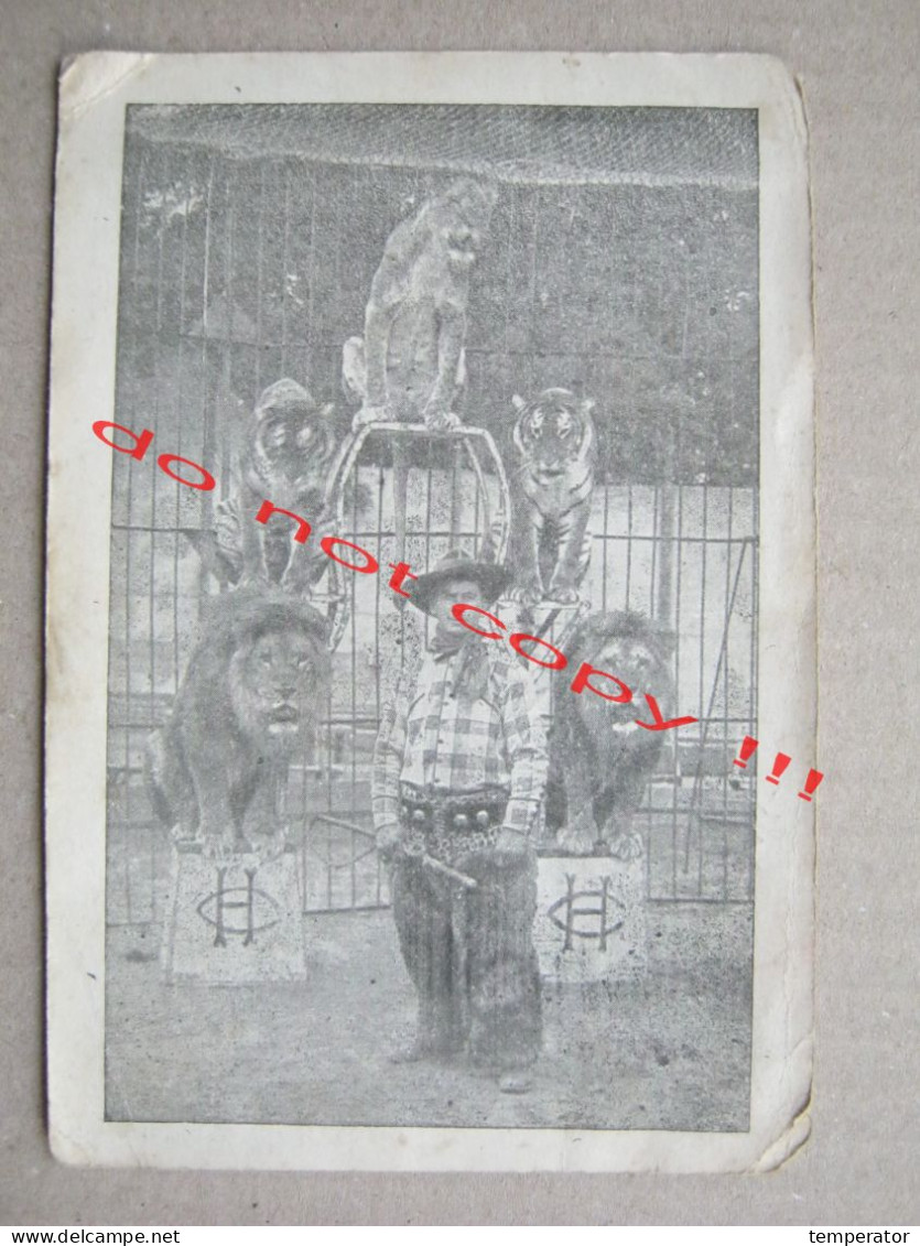 CIRCUS CIRQUE CIRCO ZIRKUS - A Tamer Of Wild Cats ( Old Card ) - Zirkus