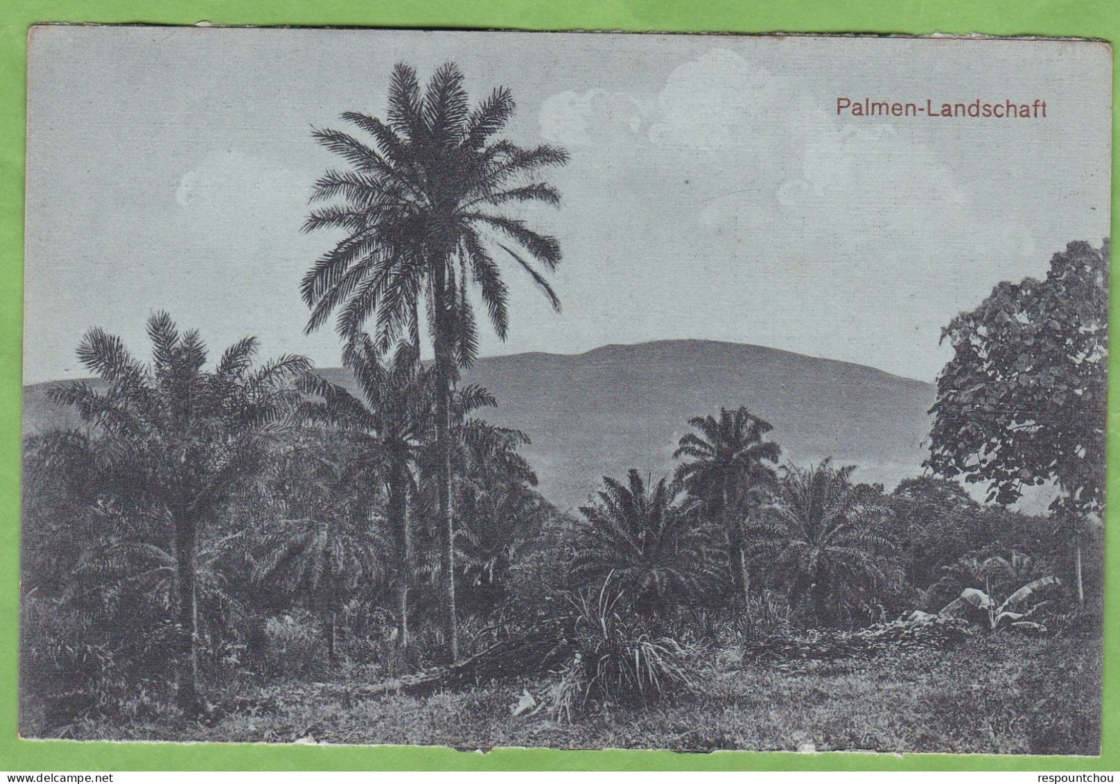 RARE CPA KAMERUN Palmen Landschaft Cameroun Allemand - Camerun