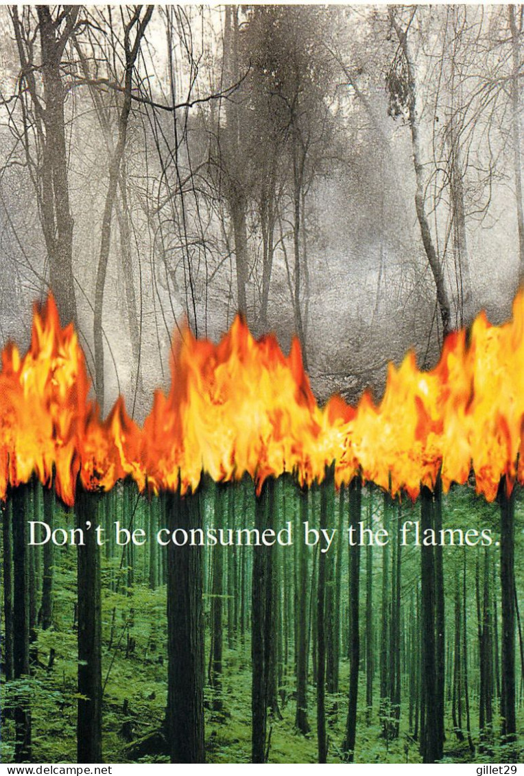 PUBLICITÉ - ADVERTISING - NIDA NATIONAL INSTITUTE ON DRUG ABUSE - DON'T BE CONSUMED BY THE FLAMES - Werbepostkarten