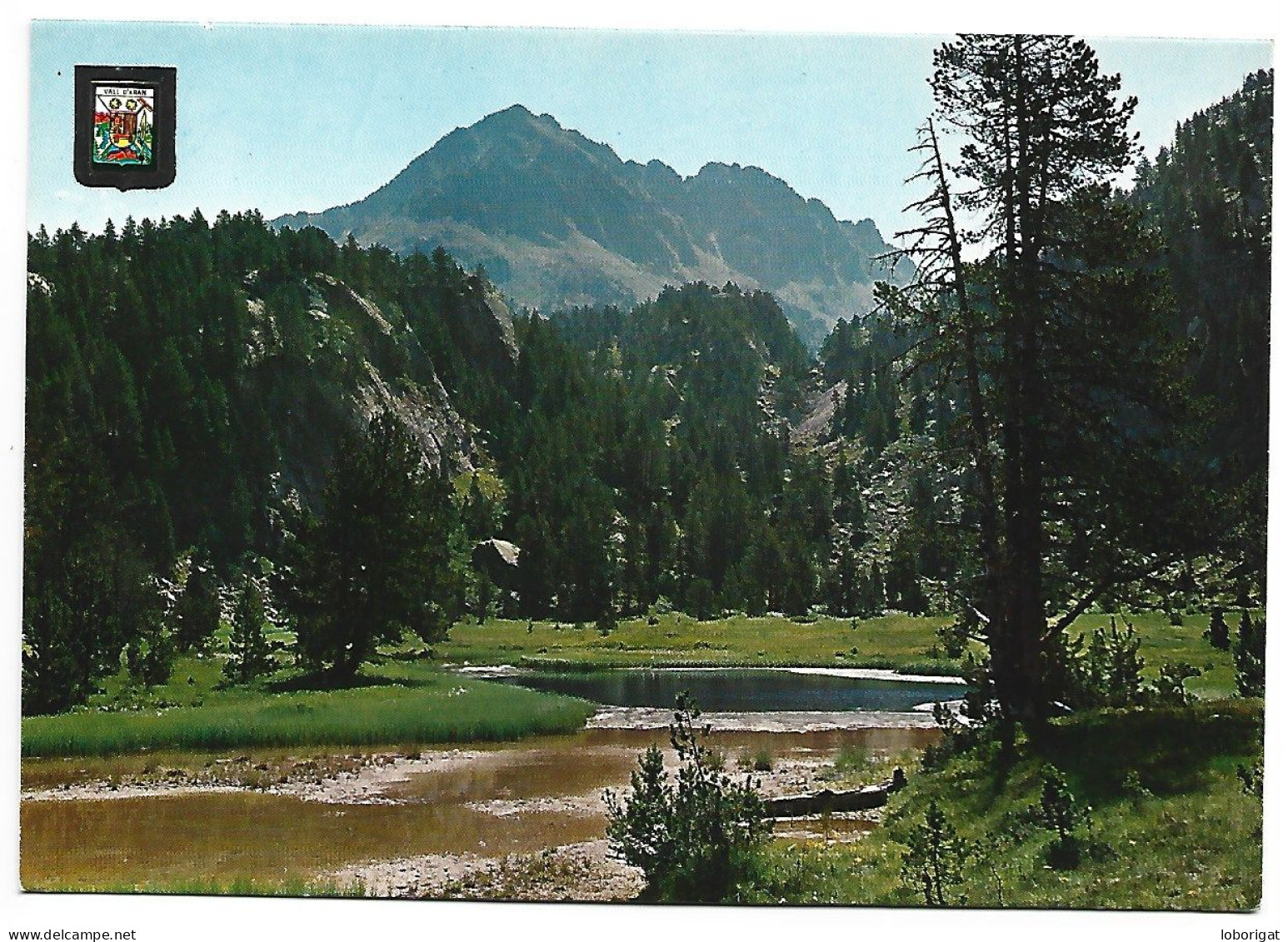 PAISATGE TIPIC / TYPICAL LANDSCAPE .- VALL D'ARAN.- PIRINEU CENTRAL.-  COLOMES / LLEIDA.- ( CATALUNYA) - Lérida