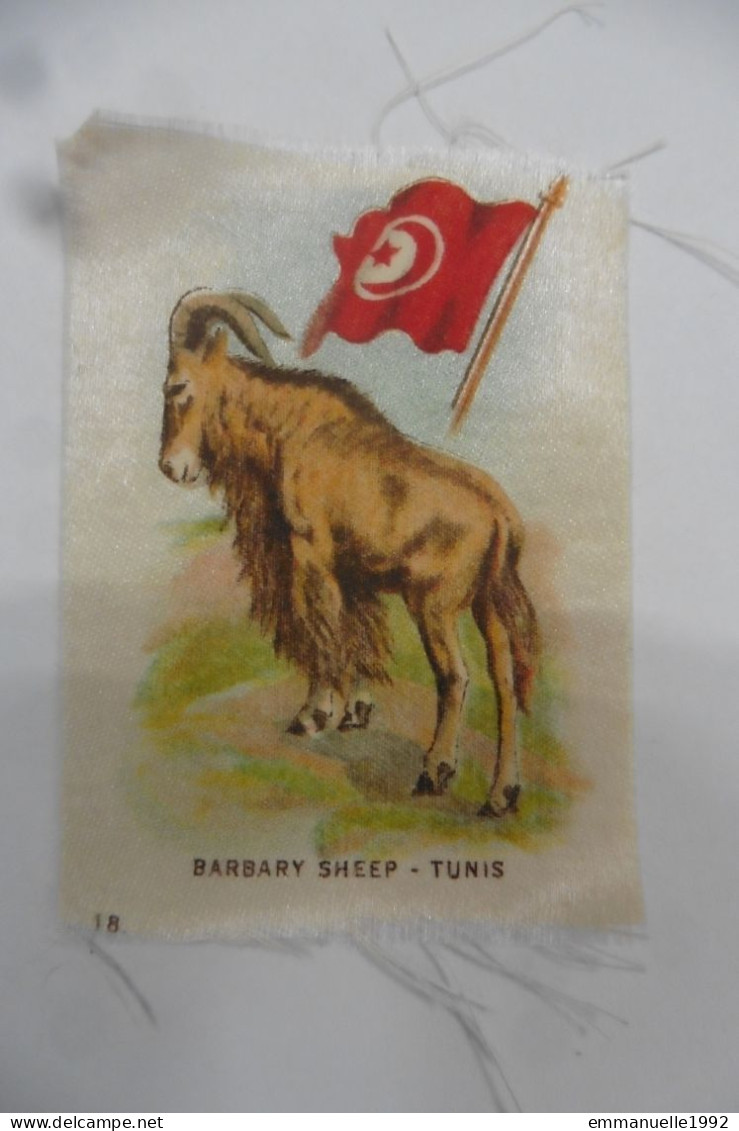 Chromo Image Sur Tissu Ruban - Tunisie - Chèvre - Barbary Sheep - Other & Unclassified