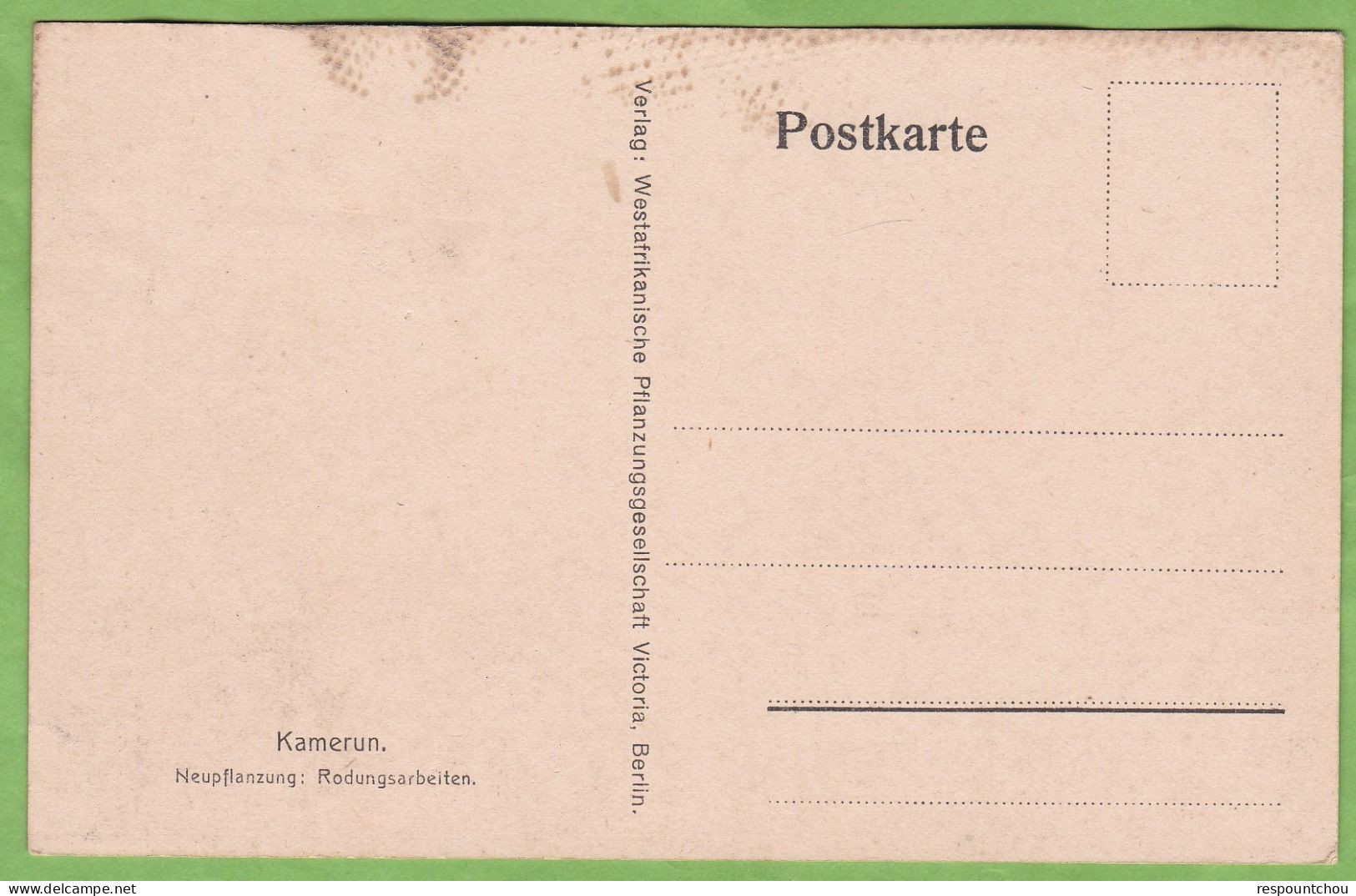 RARE CPA KAMERUN Neupflanzung Rodungsarbeiten Cameroun Allemand - Cameroun