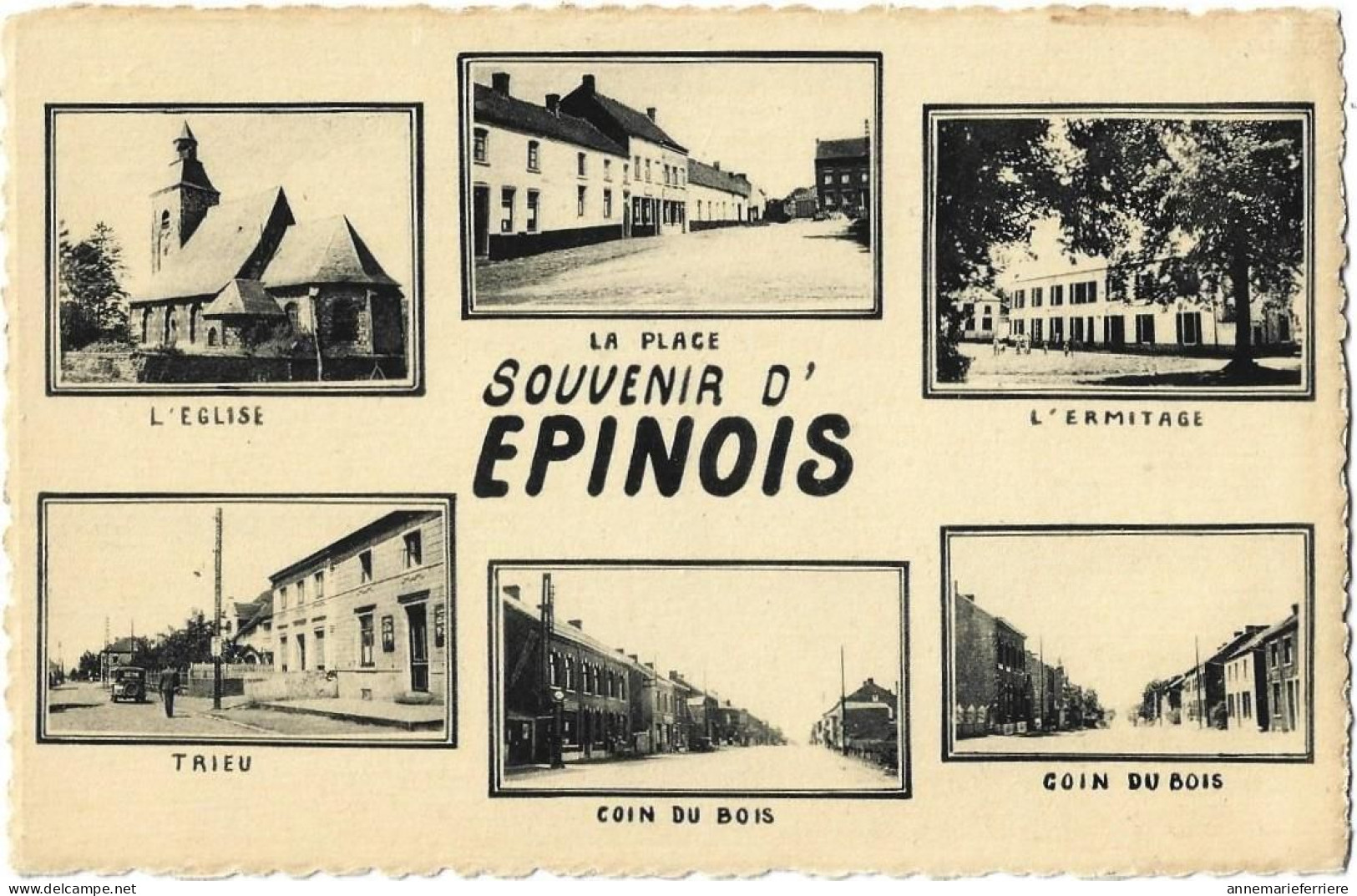Souvenir D' Epinois ( Multivues ) - Enghien - Edingen