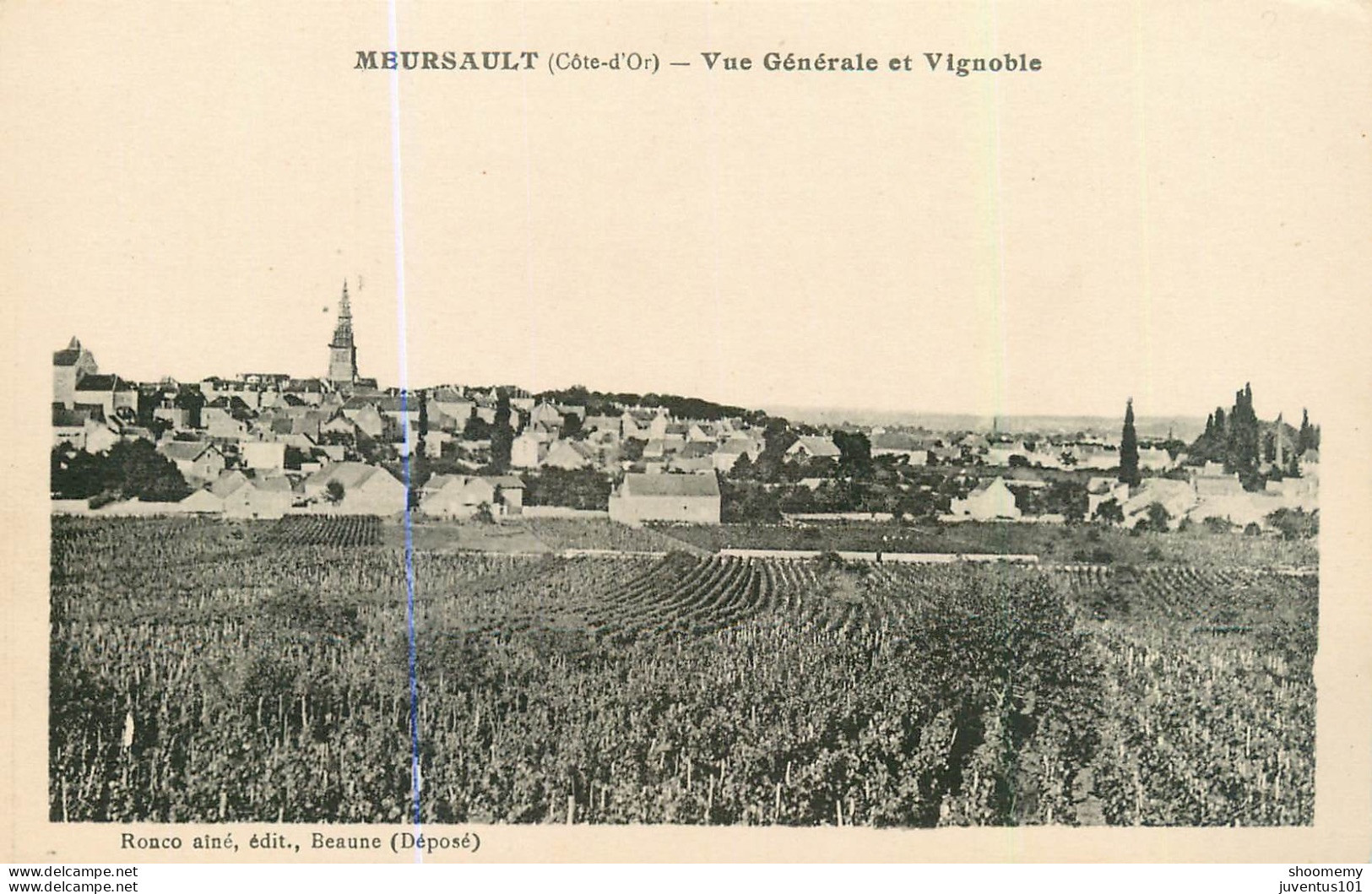 CPA Meursault-Vue Générale Et Vignoble       L2133 - Meursault