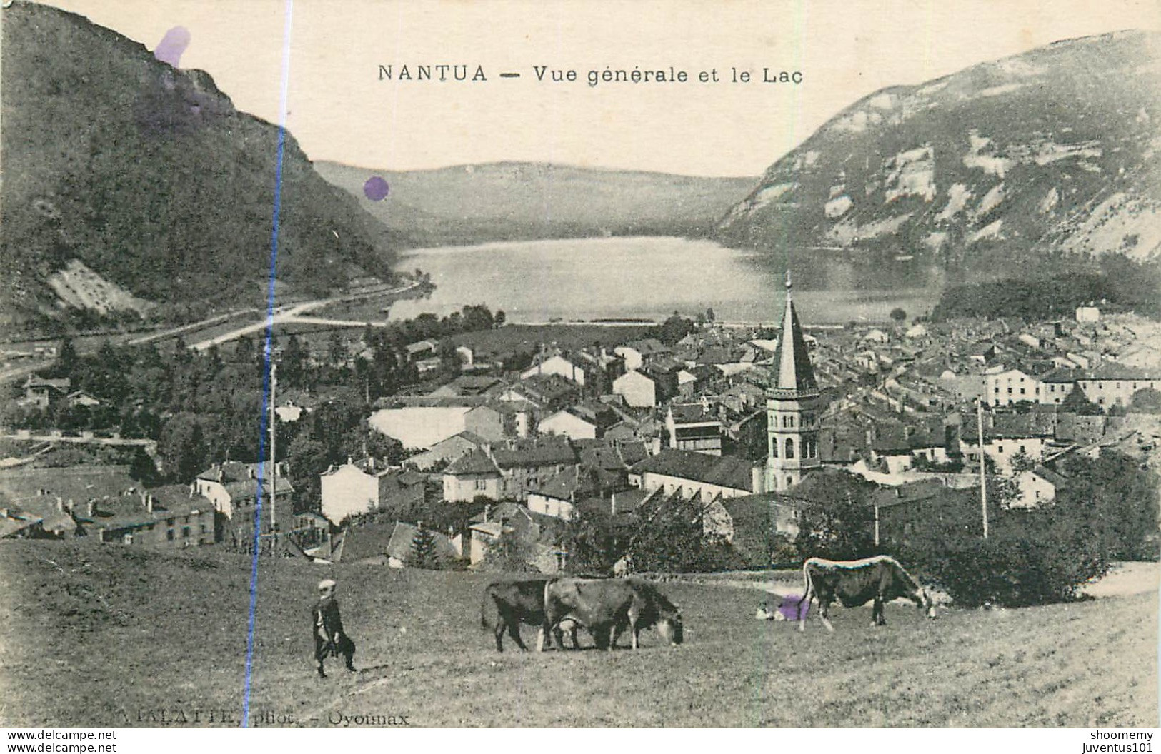 CPA Nantua-Vue Générale Et Le Lac       L2133 - Nantua