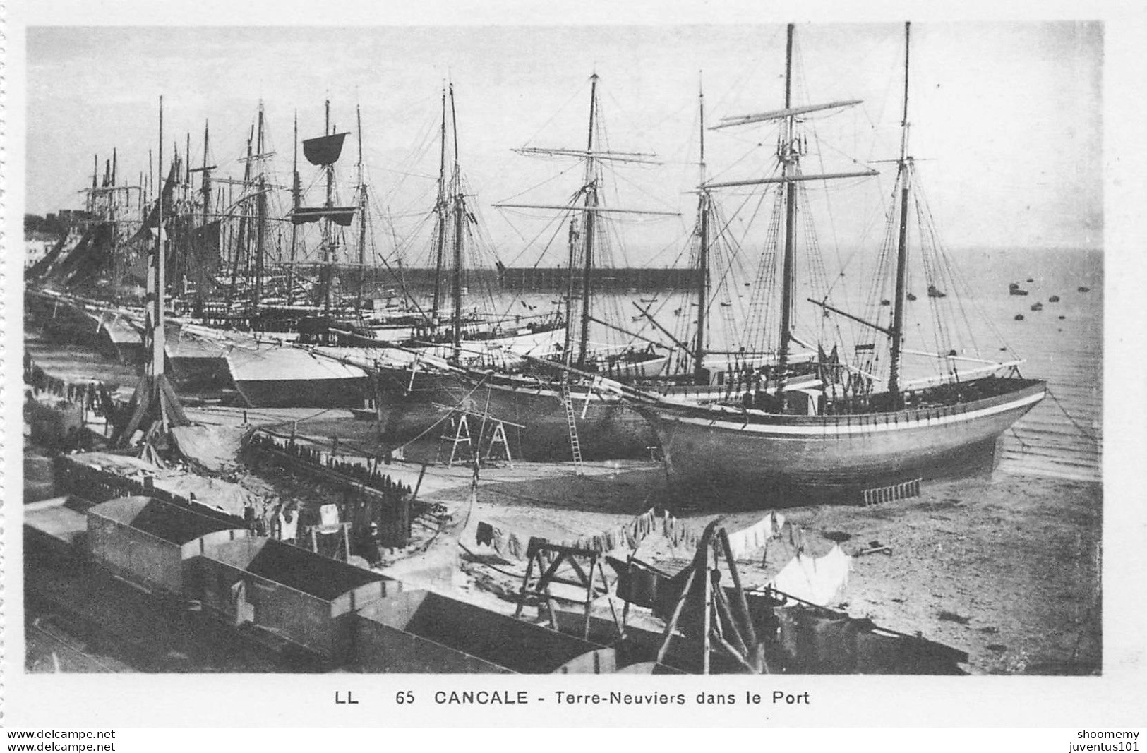 CPA Cancale-Terre Neuviers Dans Le Port-65       L2414 - Cancale