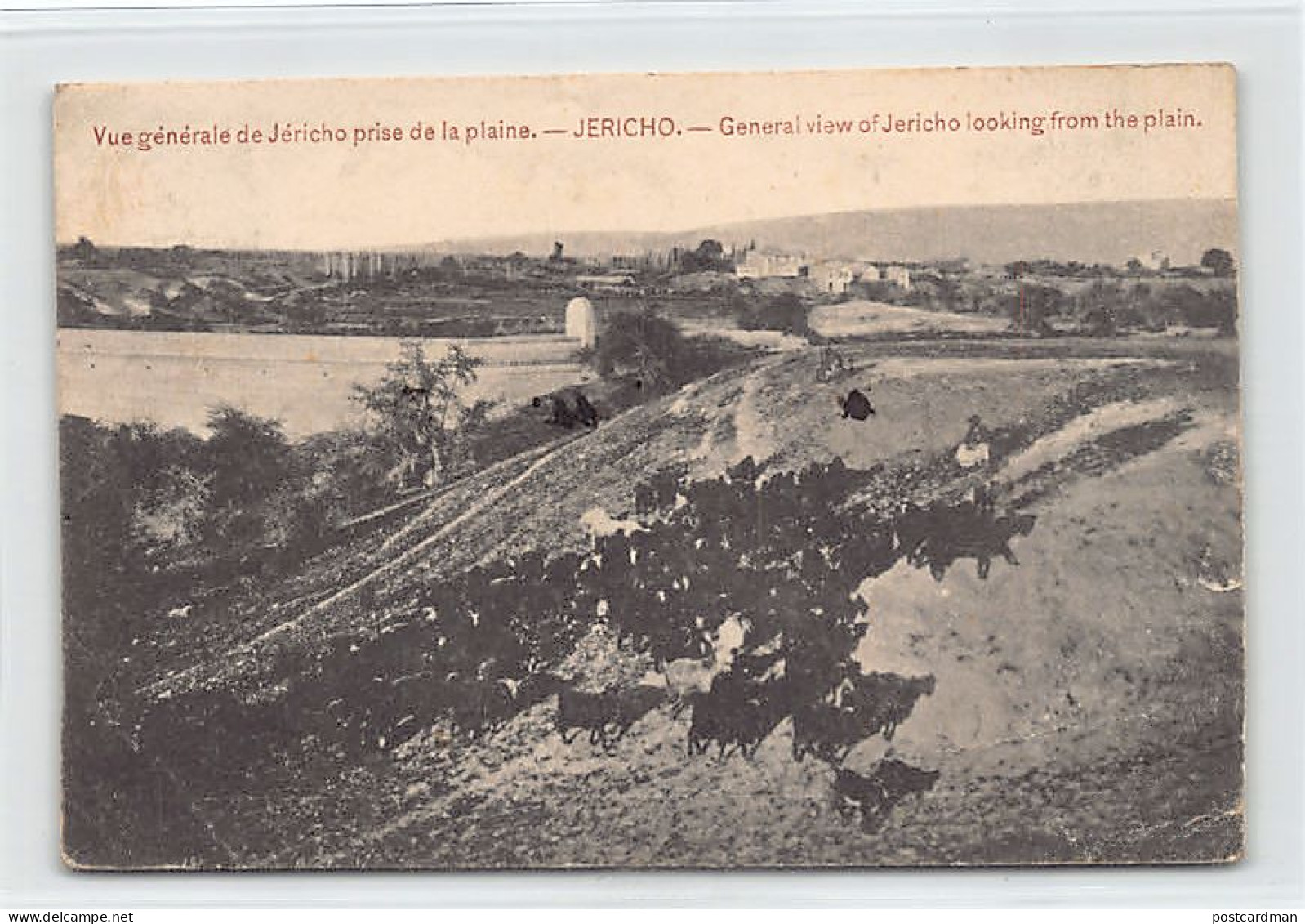 Palestine - JERICHO - General View From The Plain - Publ. Boulos Meo  - Palestine