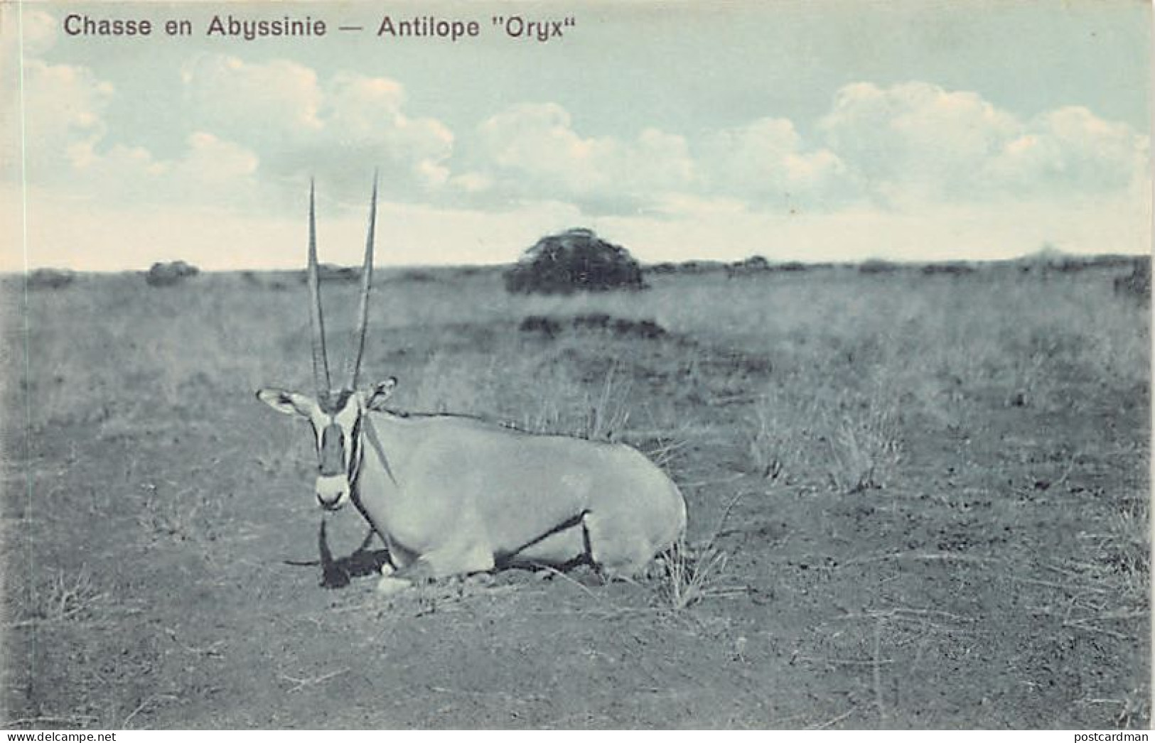 Ethiopia - Hunting In Abyssinia - Oryx Antelope - Publ. J. A. Michel  - Ethiopie