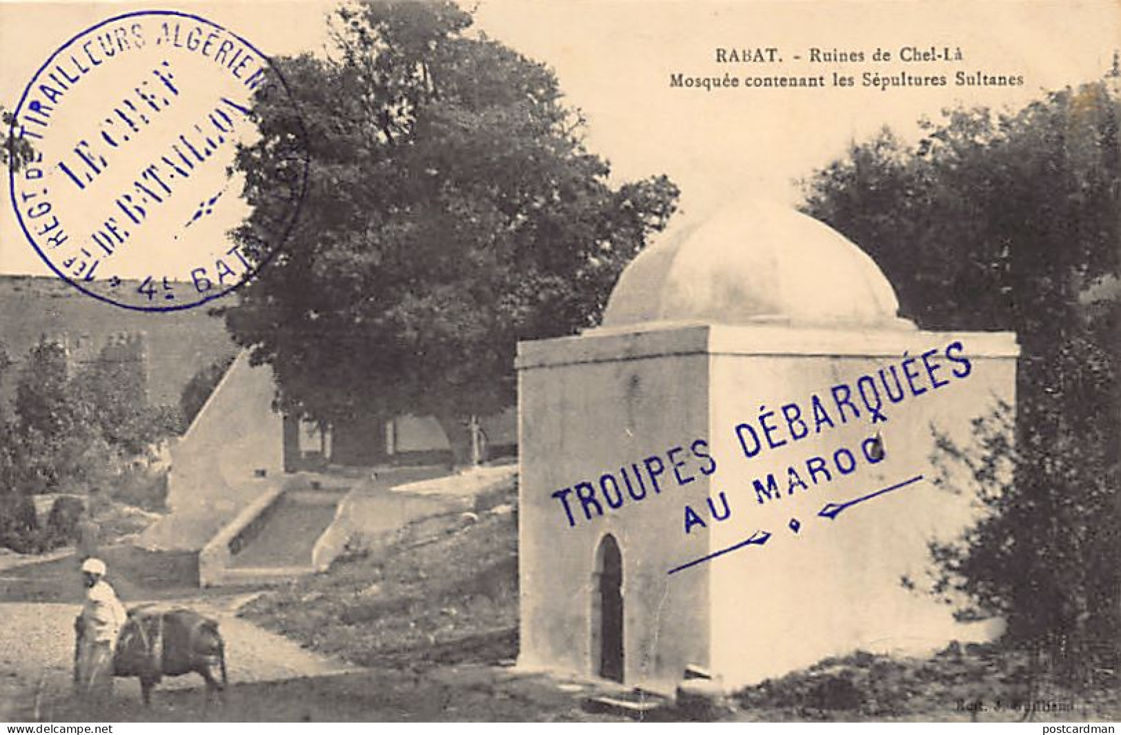 Maroc - RABAT - Ruines De Chel-Là - Mosquée Contanant Les Sépultures Sultanes - Ed. J. Guilliano  - Rabat