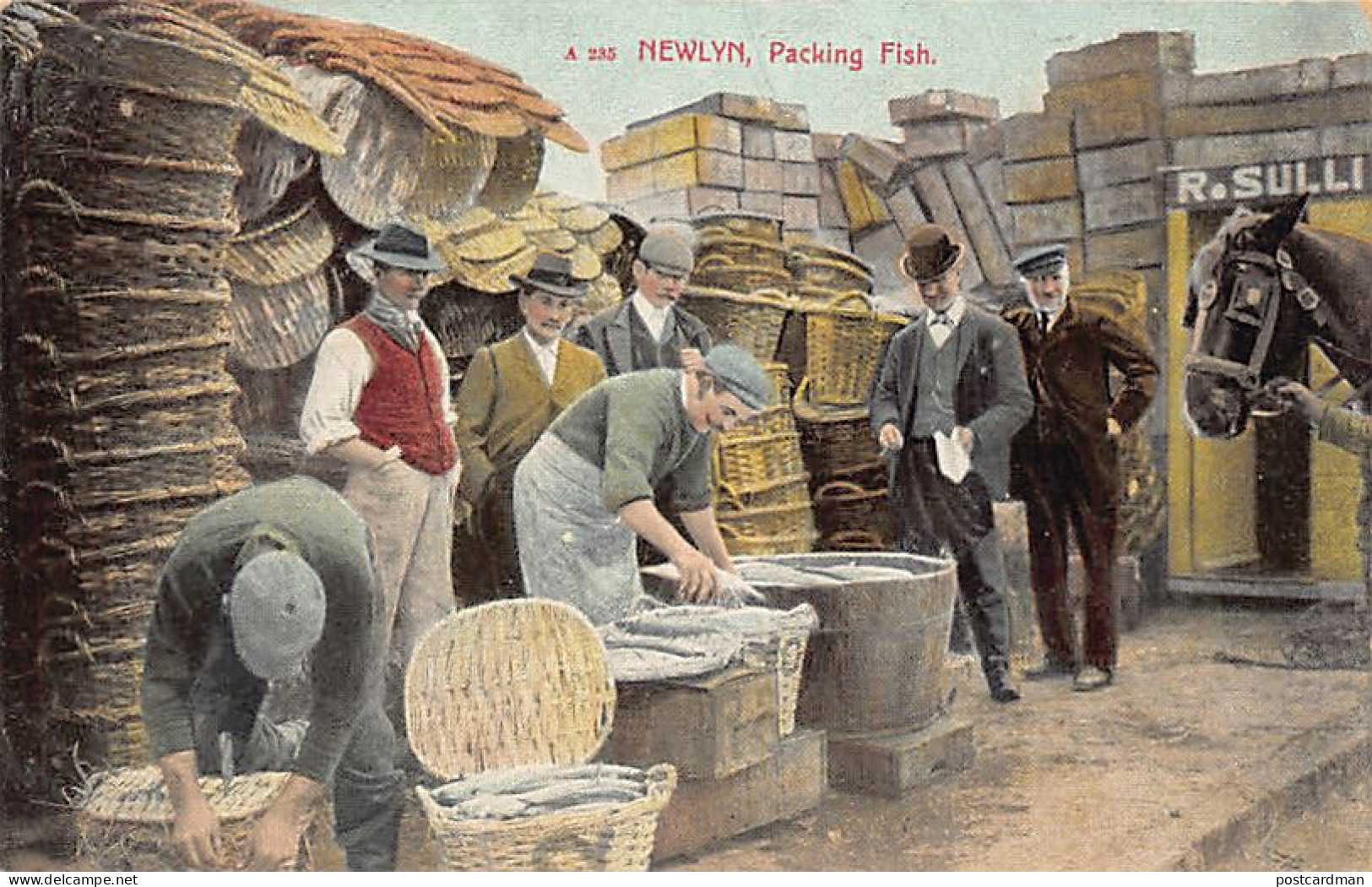 England - NEWLYN (Cornwall) Packing Fish - Autres & Non Classés