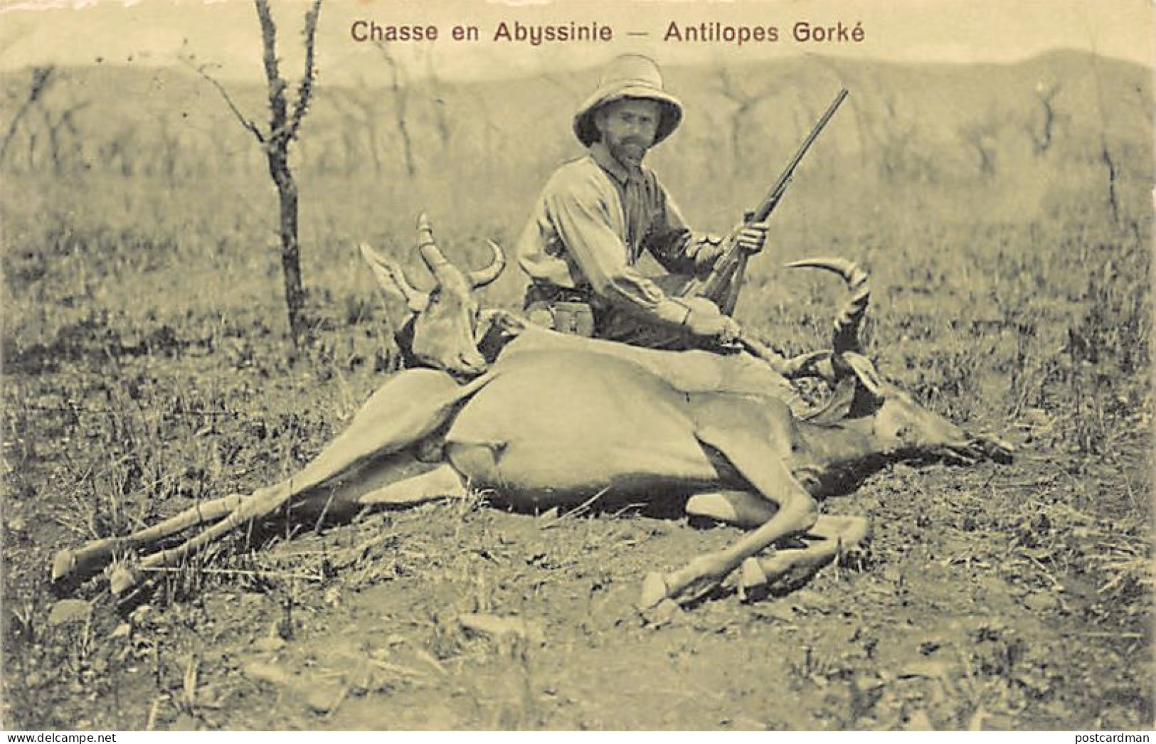 Ethiopia - Hunting In Abyssinia - Gorke Antelopes - Publ. J. A. Michel 6869 - Etiopía