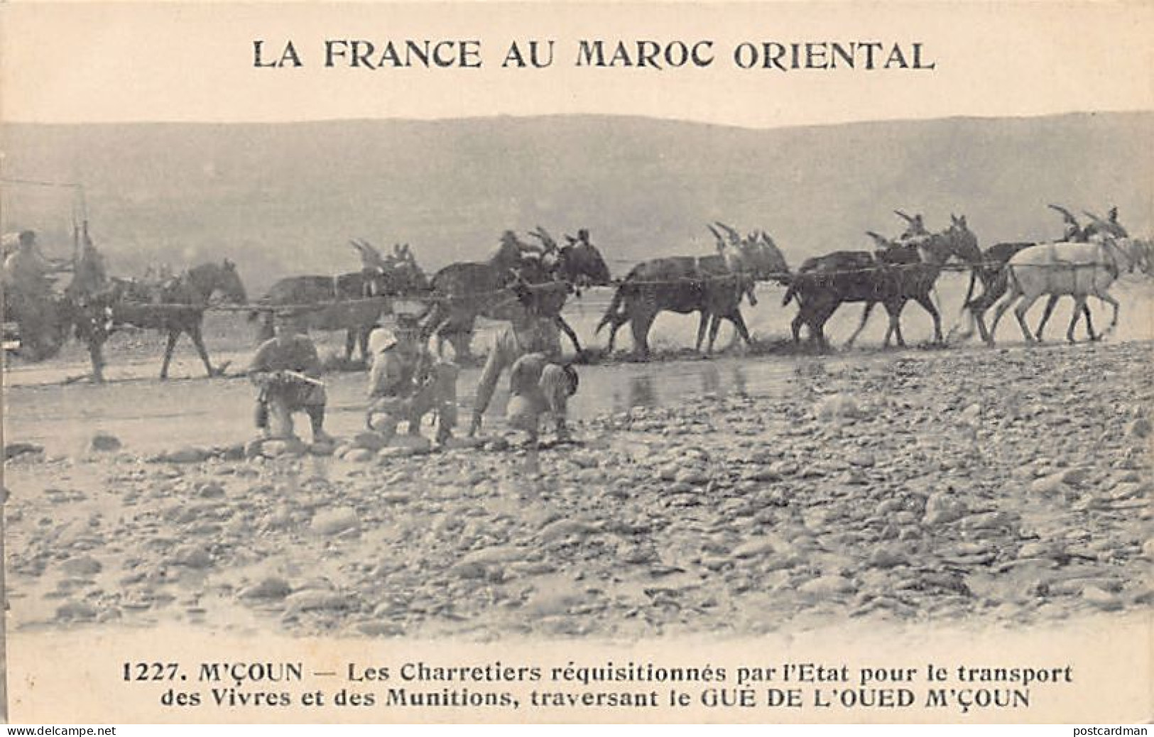 La France Au Maroc Oriental - M'ÇOUN - Les Charretiers Réquisitionnés Par L'Etat Pour Le Transport Des Vivres Et Munitio - Otros & Sin Clasificación