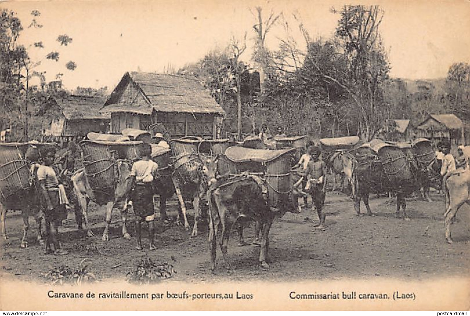 Laos - Caravane De Ravitaillement Par Bœufs-porteurs - Ed. Missions Étrangères De Paris  - Laos