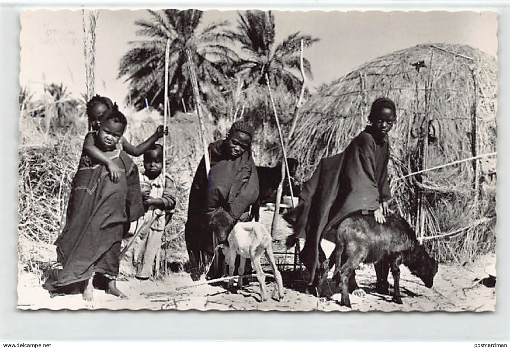 Mauritanie - Danse Le Sud - Groupe D'enfants - Ed. C. Lacroix 3862 - Mauretanien