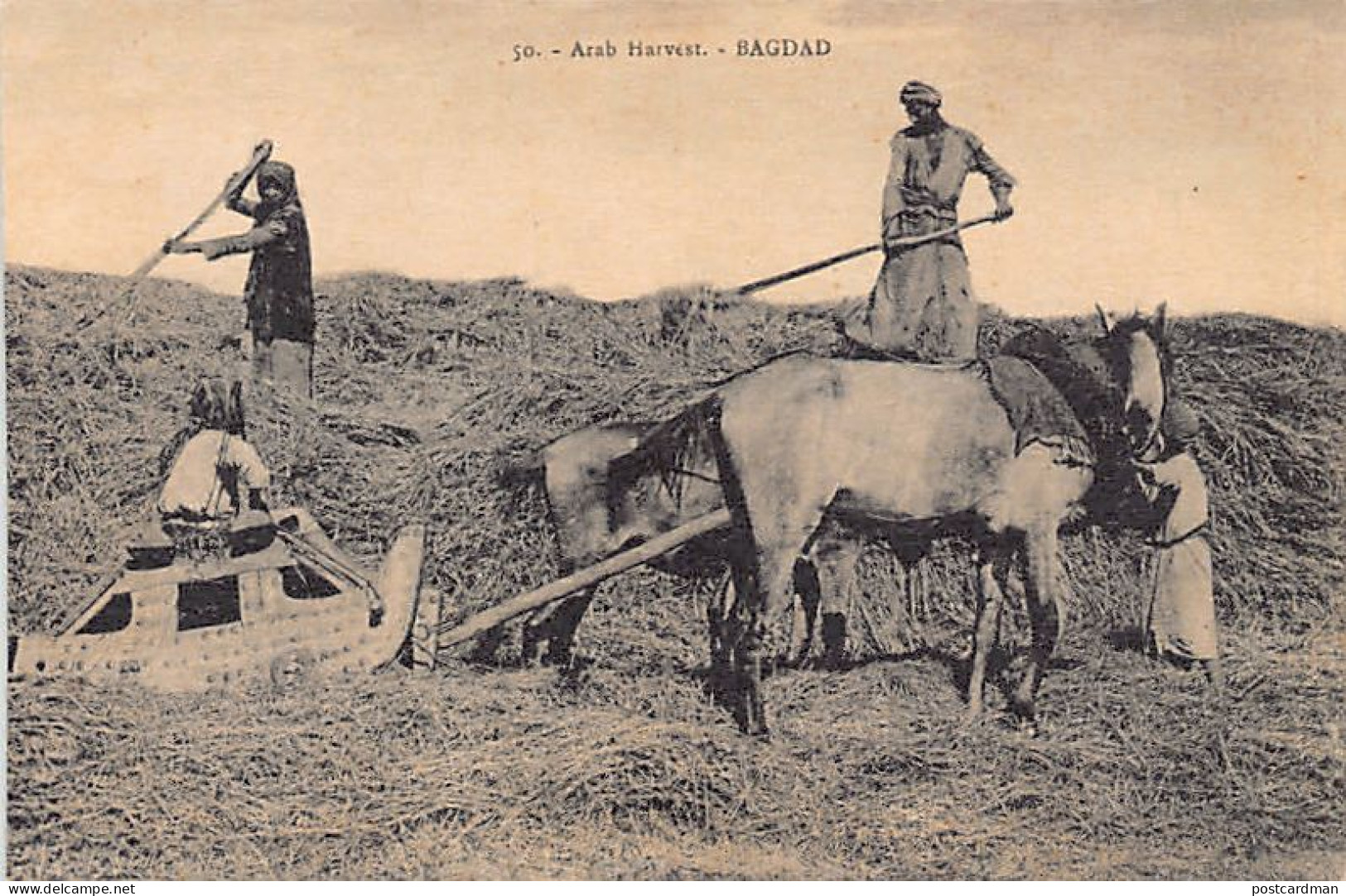 Iraq - BAGHDAD - Arab Harvest - Publ. Unknown 50 - Irak