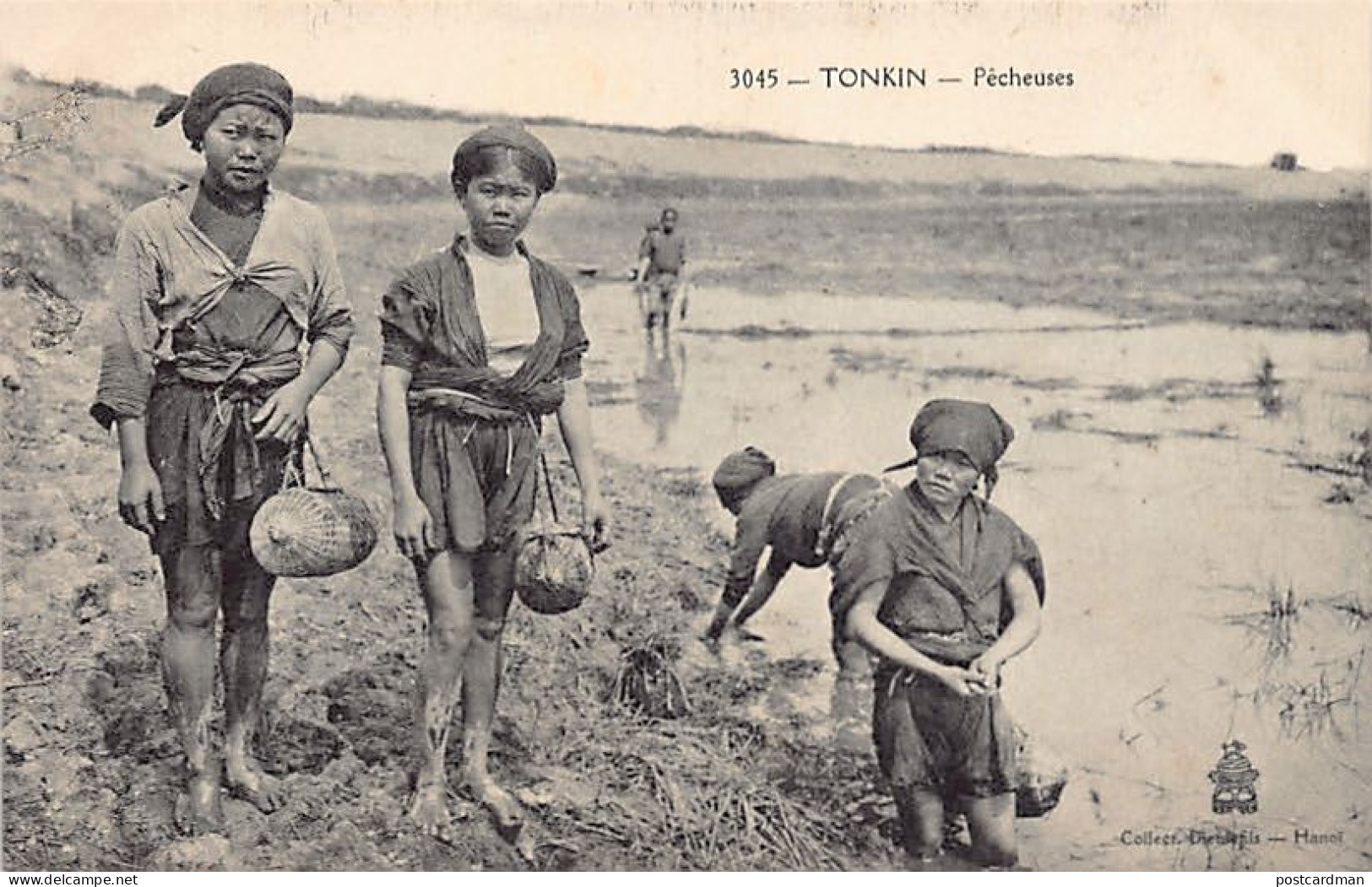 Viet Nam - TONKIN - Pêcheuses - Ed. P. Dieulefils 3045 - Viêt-Nam