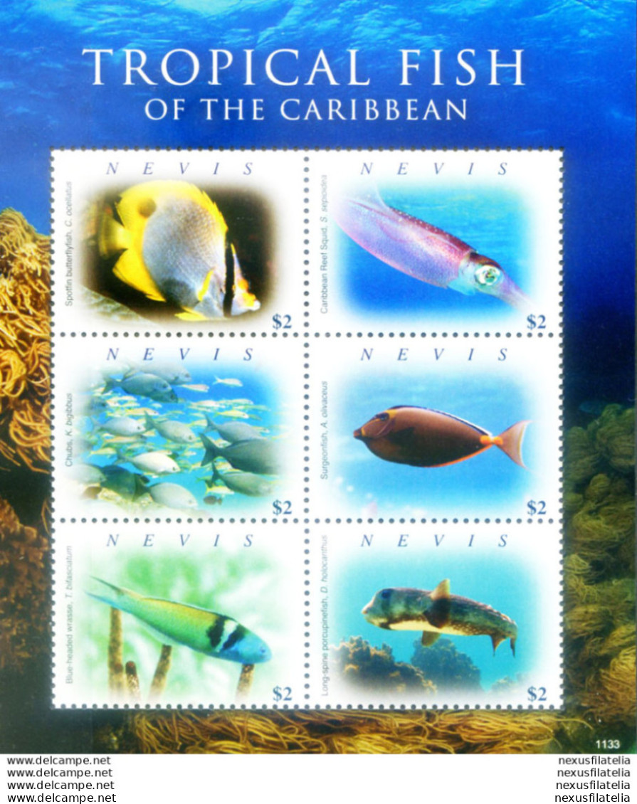 Fauna. Pesci 2011. - St.Kitts-et-Nevis ( 1983-...)
