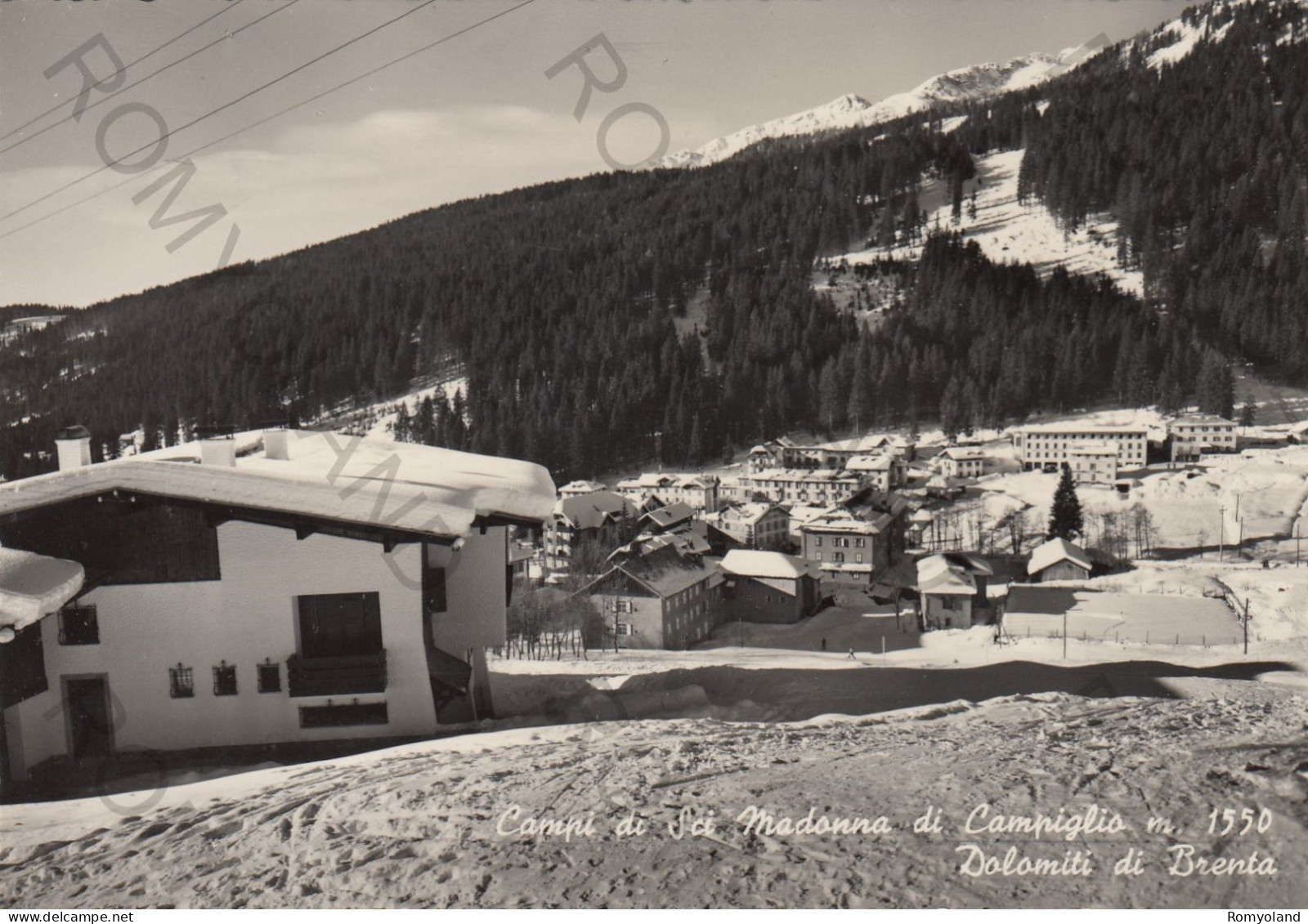 CARTOLINA  C11 MADONNA DI CAMPIGLIO M.1550,TRENTO,TRENTINO ALTO ADIGE-DOLOMITI DI BRENTA-CAMPI DI SCI-VIAGGIATA - Trento