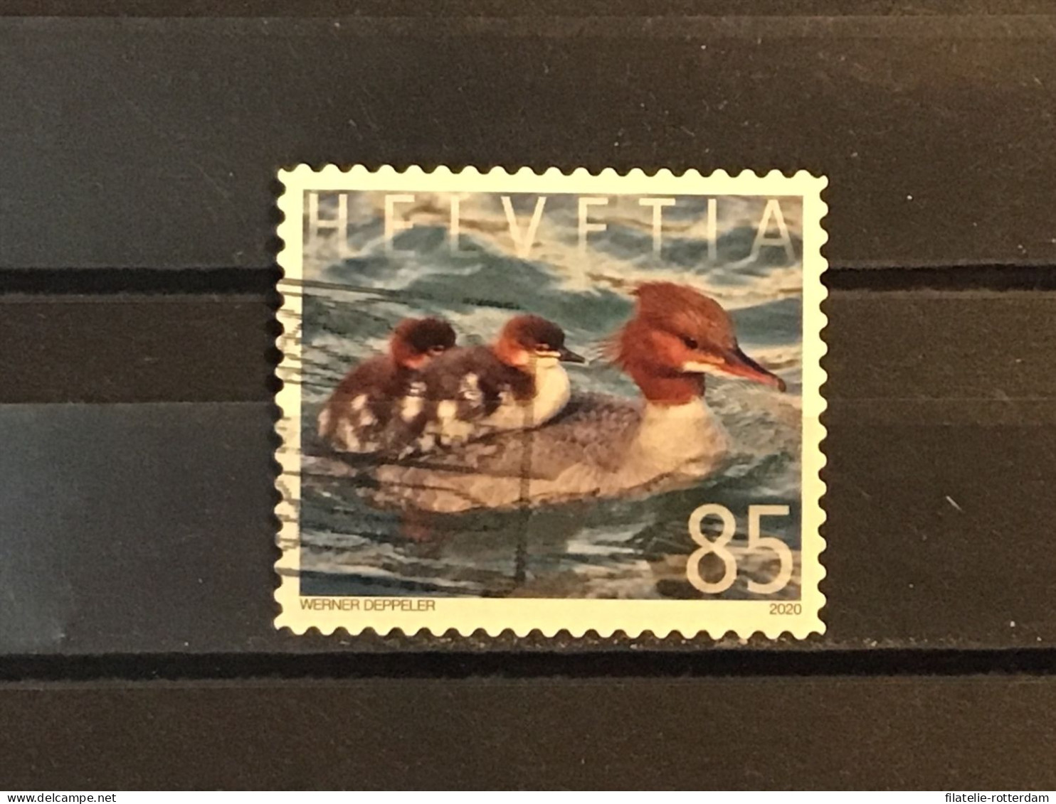 Switzerland / Zwitserland - Animal Families (85) 2020 - Used Stamps