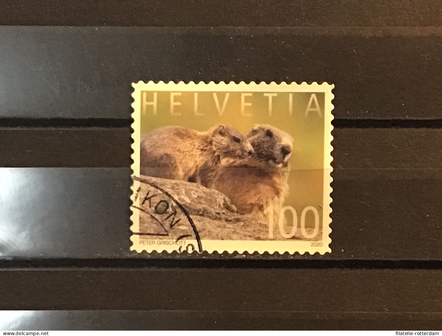 Switzerland / Zwitserland - Animal Families (100) 2020 - Used Stamps