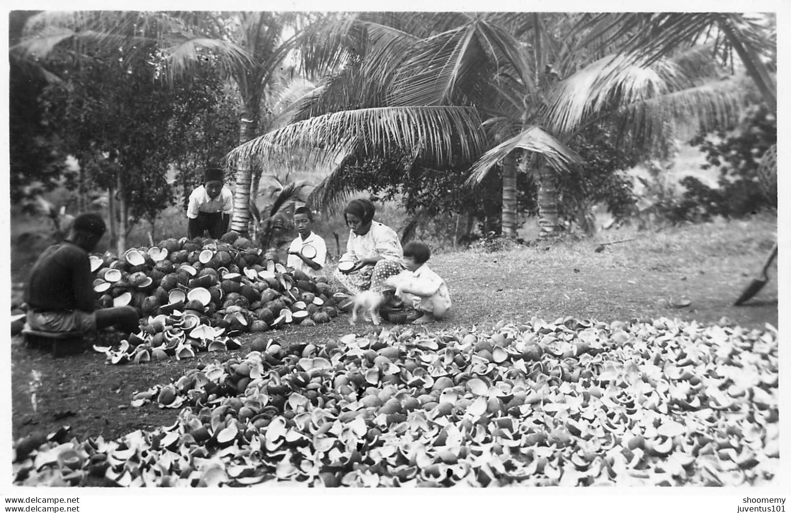 CPSM/CPA Indonesie-Sabang-Ile De Weh-Noix De Coco-1937-TRES RARE      L2412 - Indonésie