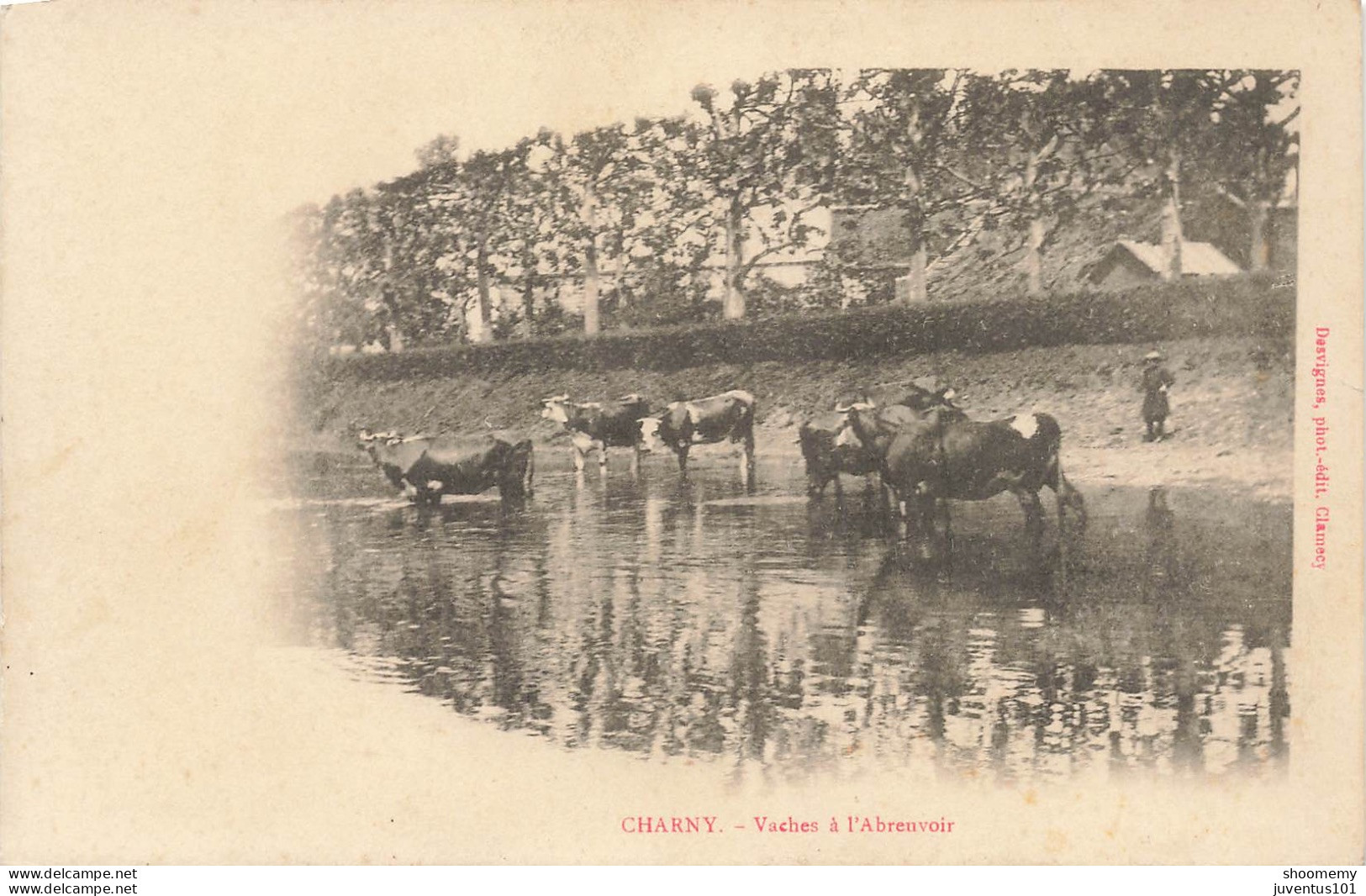 CPA Charny-Vaches à L'abreuvoir      L2427 - Charny