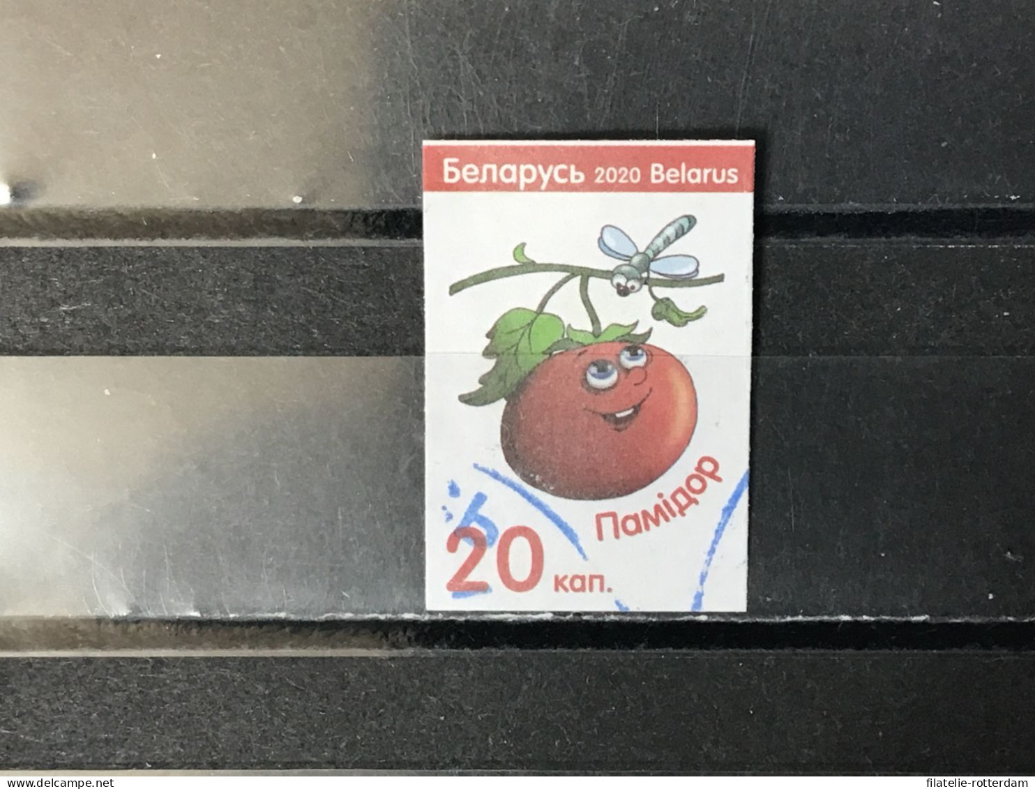 Belarus / Wit-Rusland - Vegetables (20) 2020 - Belarus