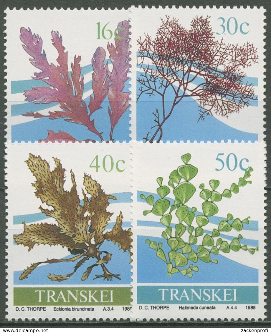 Transkei 1988 Pflanzen Meeresalgen 214/17 Postfrisch - Transkei