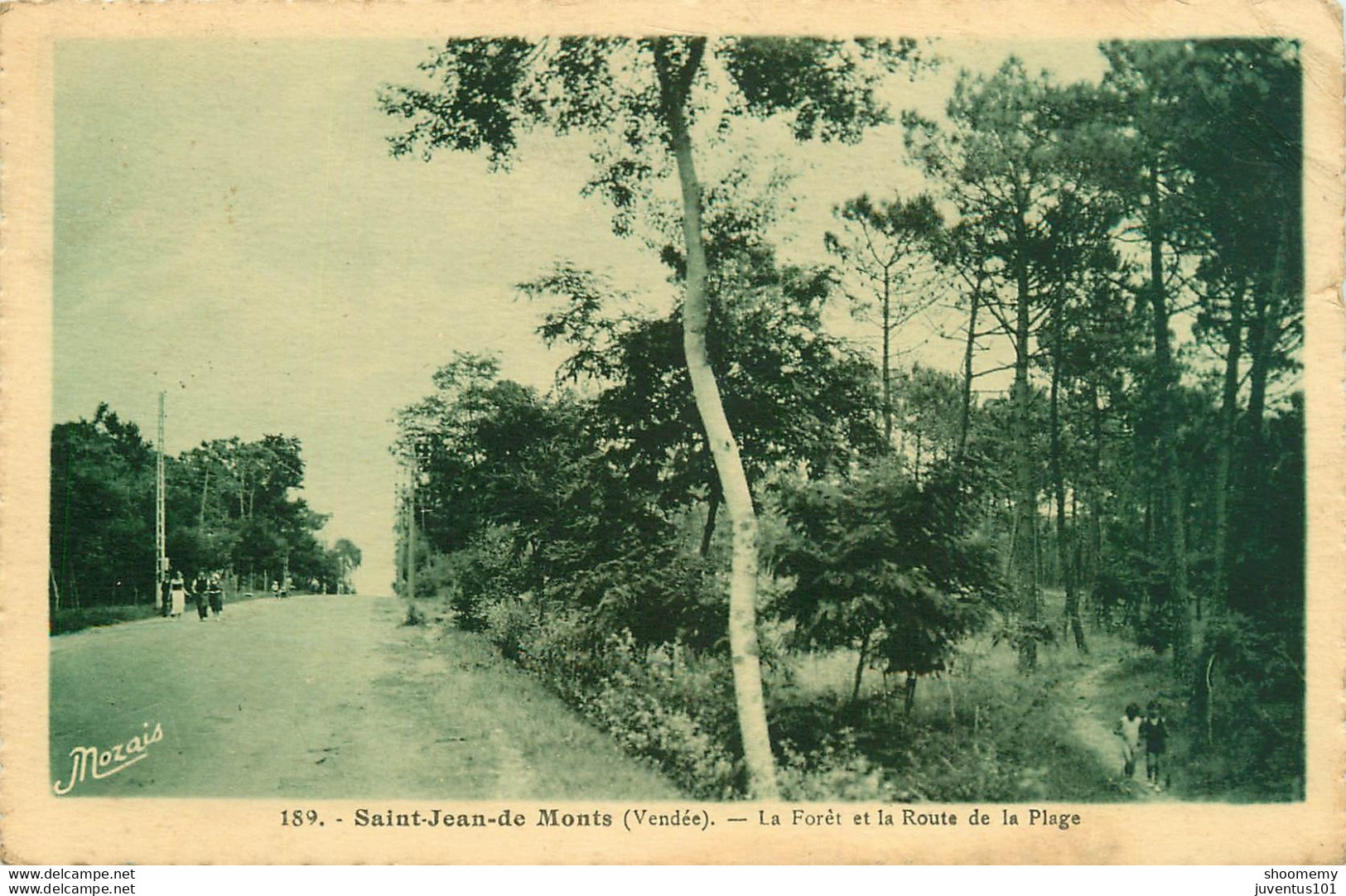 CPA Saint Jean De Monts-La Forêt Et La Route De La Plage-Timbre      L1519 - Saint Jean De Monts