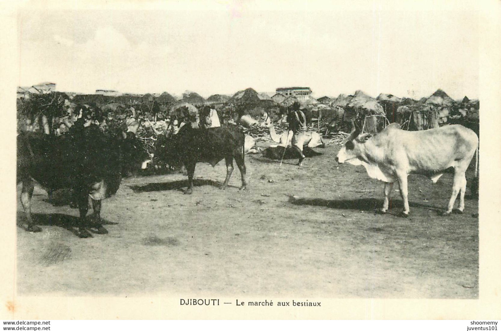 CPA Djibouti-Le Marché Aux Bestiaux      L2265 - Dschibuti